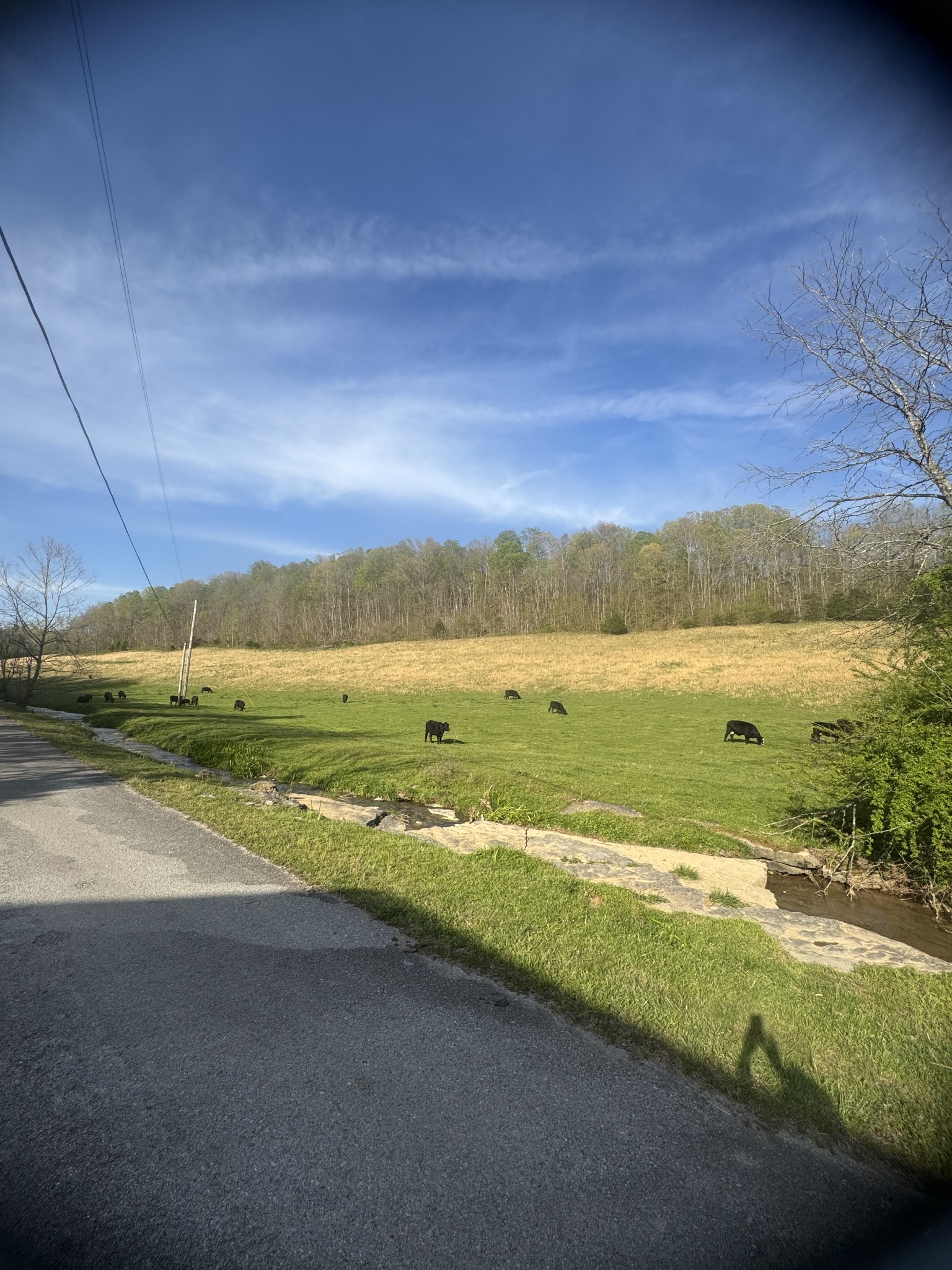 0 Tillman Hollow Road