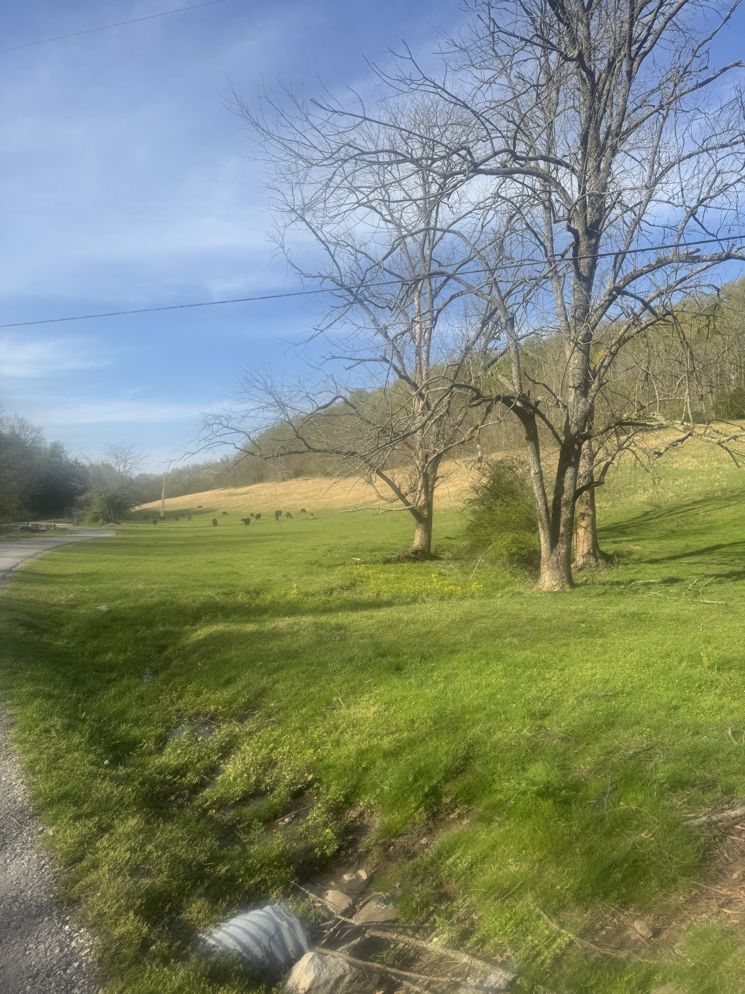 0 Tillman Hollow Road