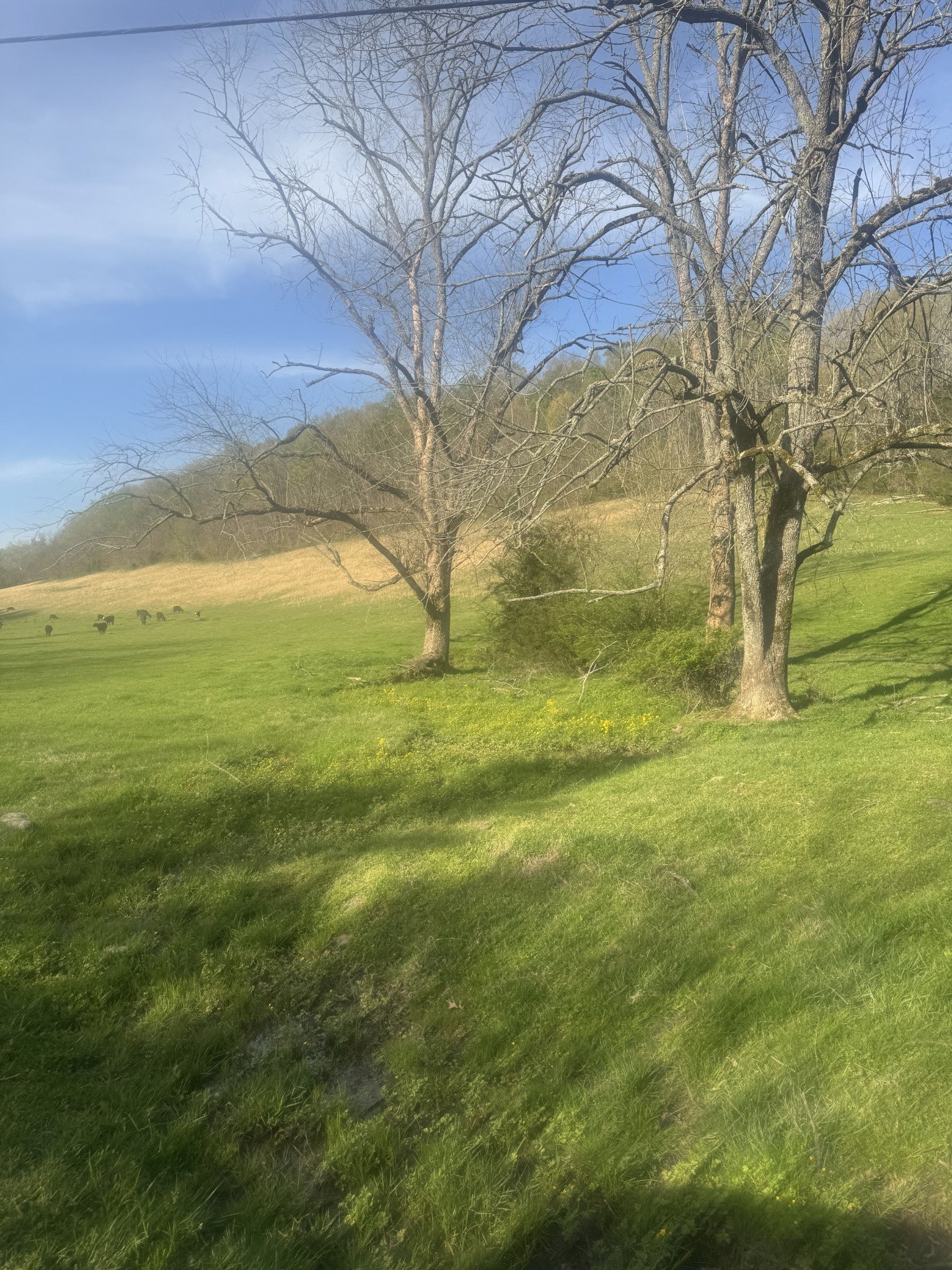 0 Tillman Hollow Road