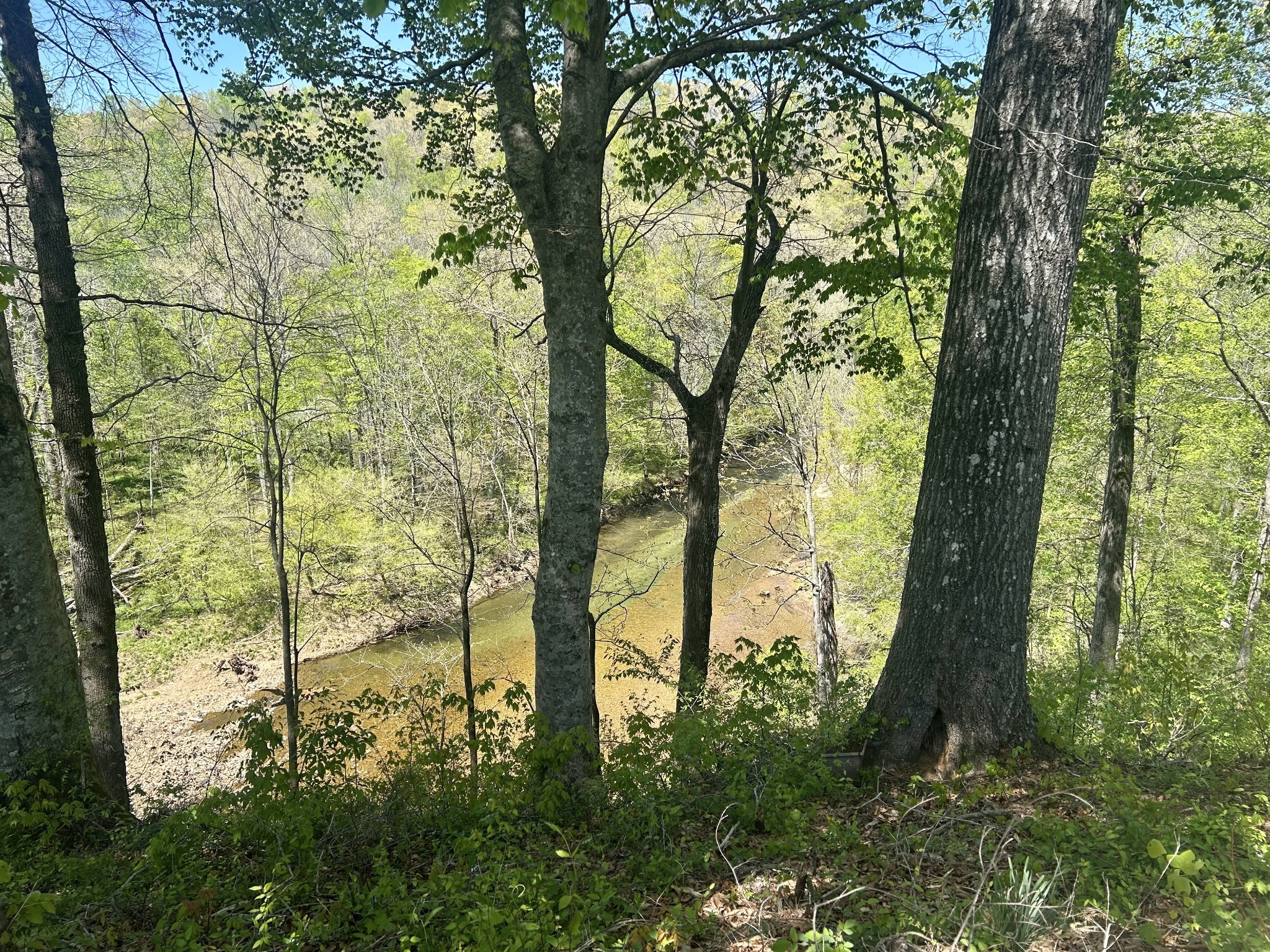 23 River Bluff Drive East