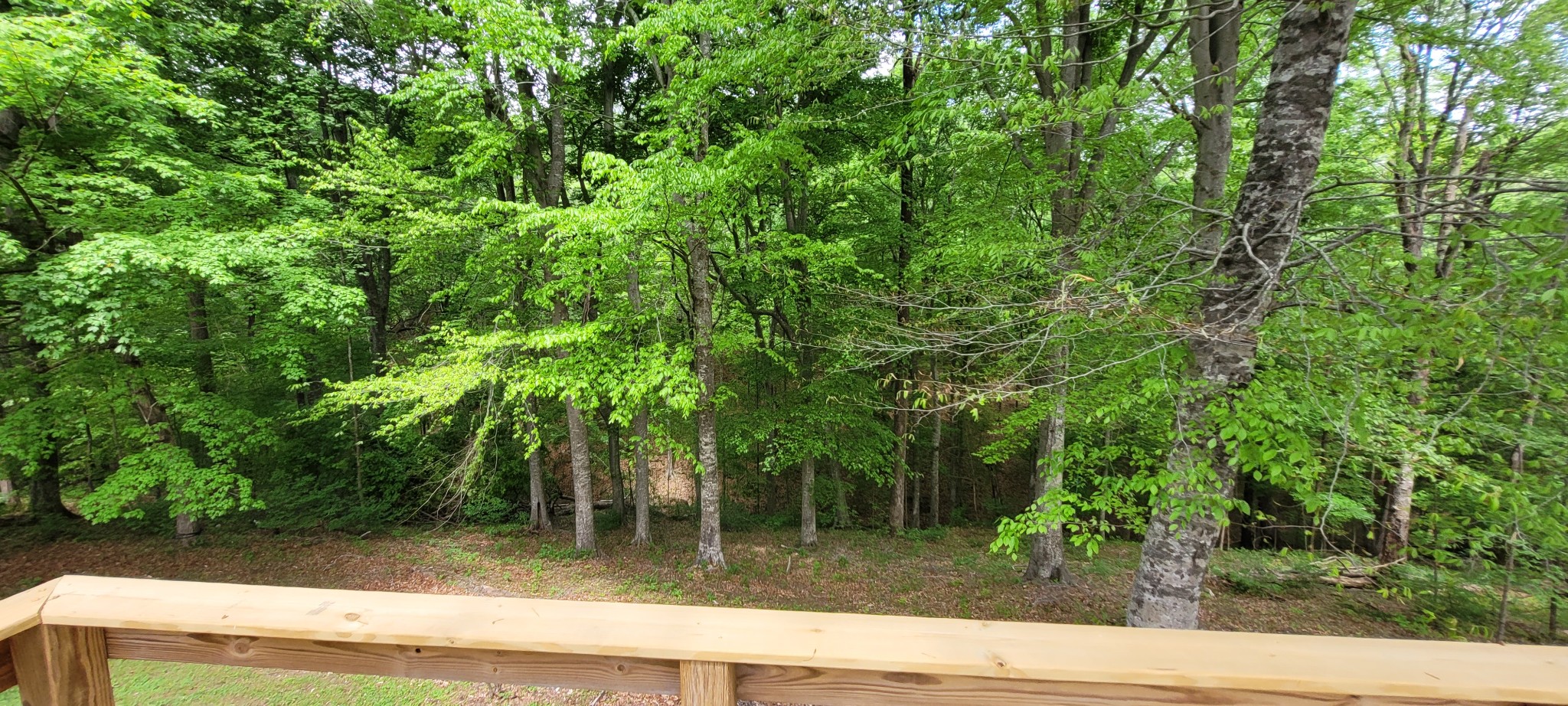 1025 Hollis Ln