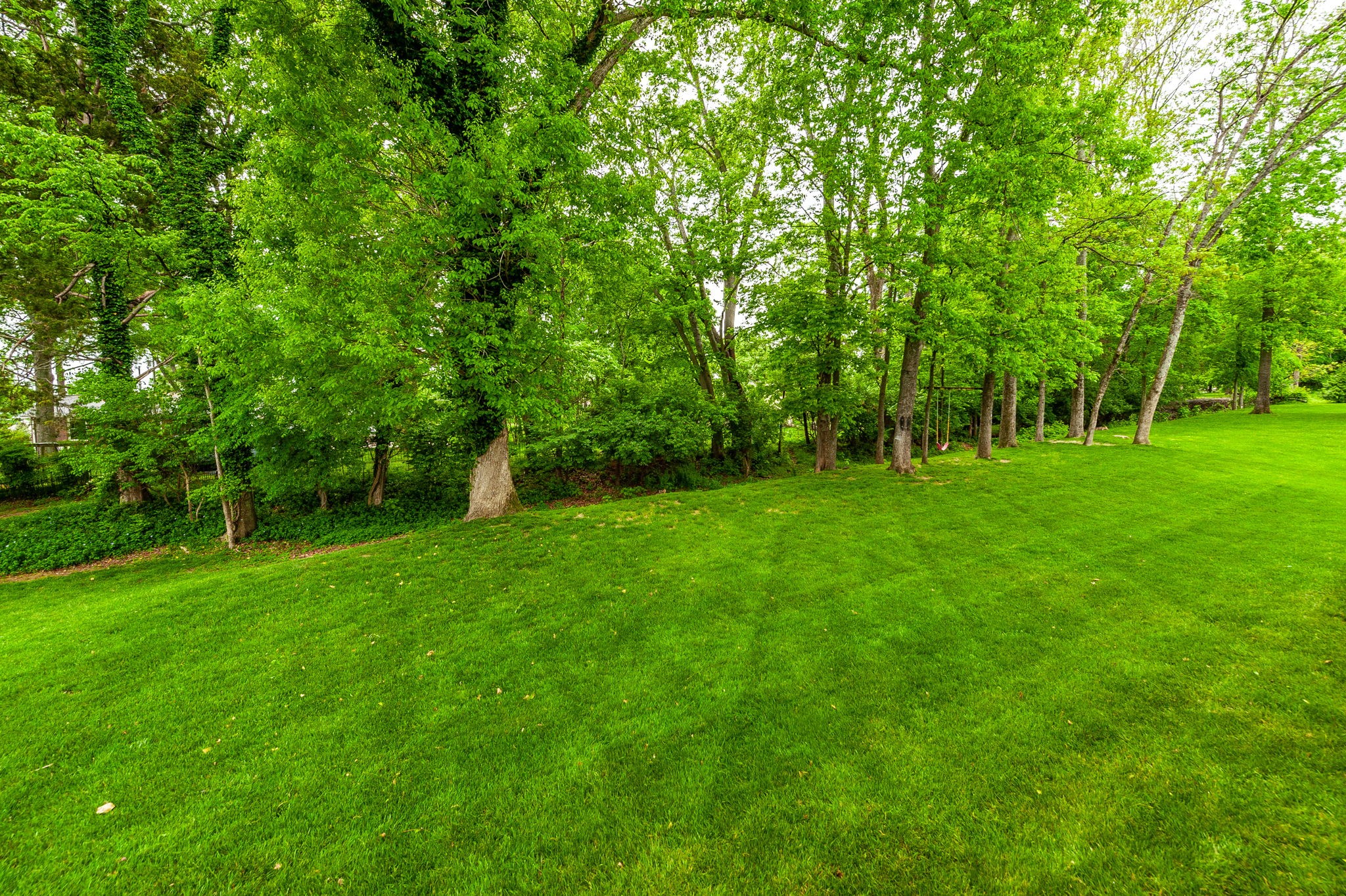 1092 Summerstar Cir