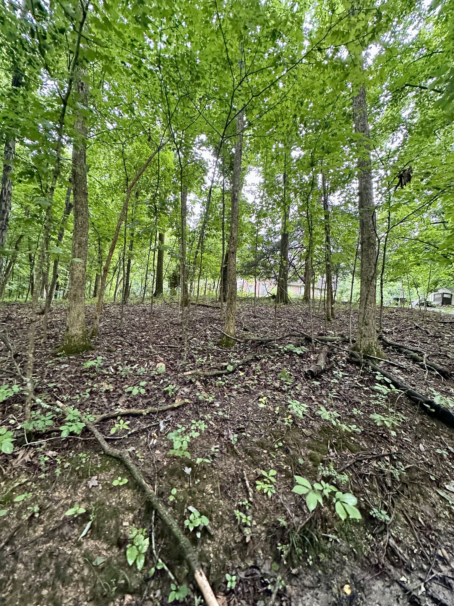 2311 Center Point Rd