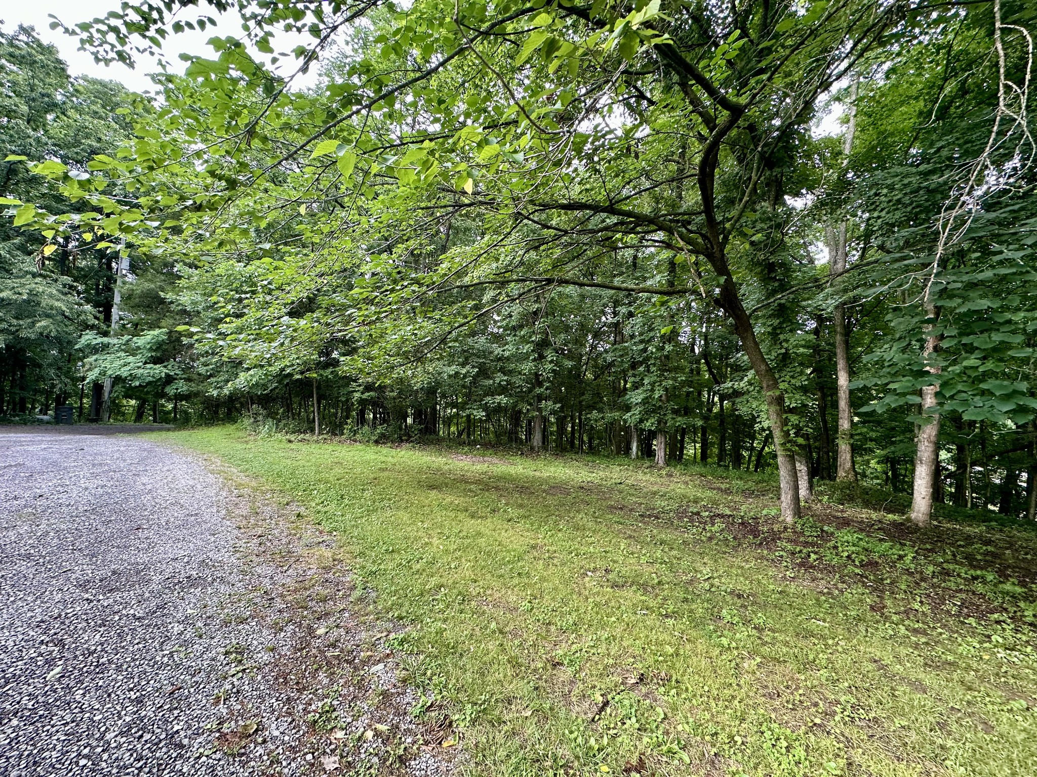 2311 Center Point Rd