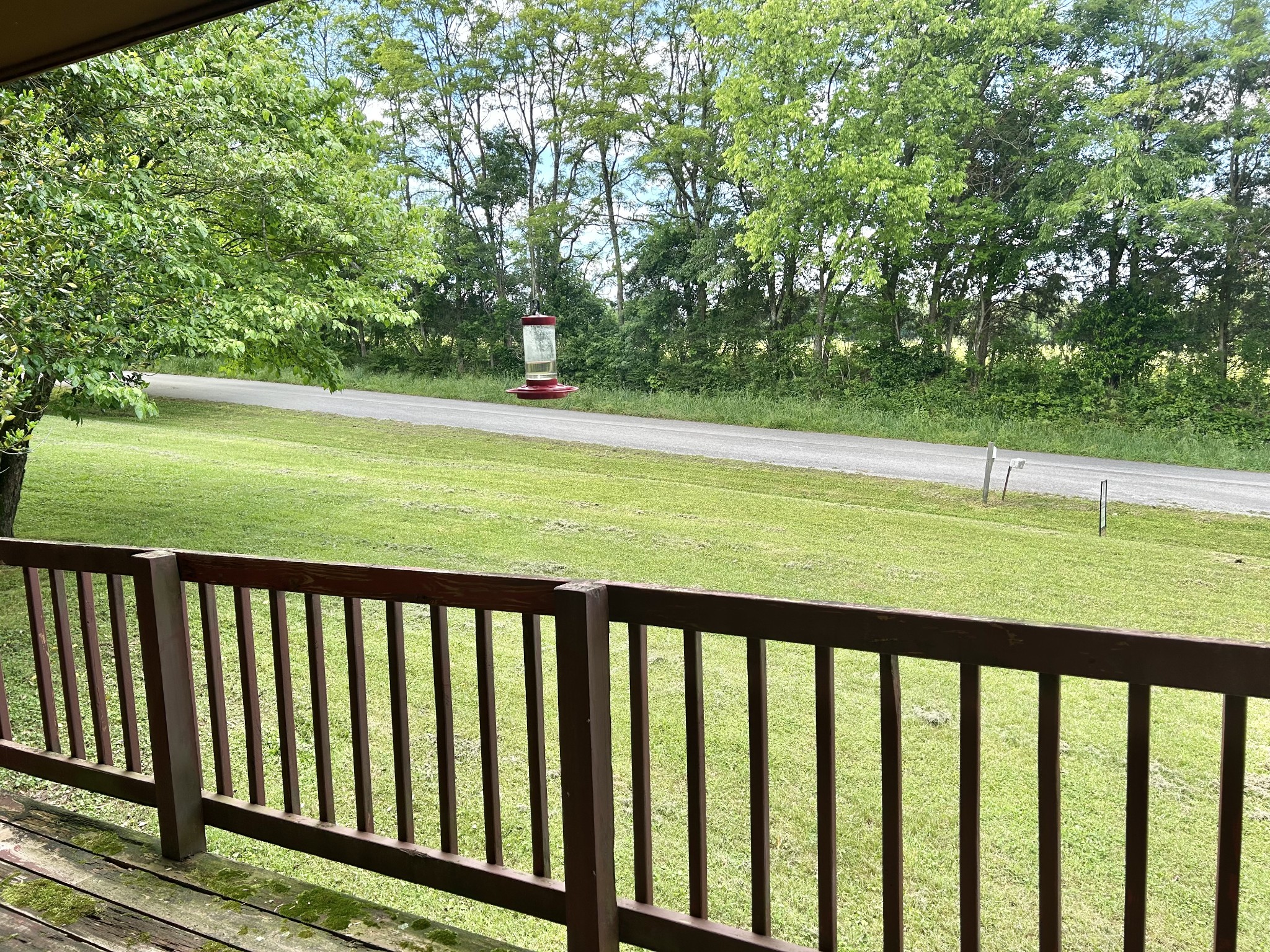 430 Blue Springs Rd