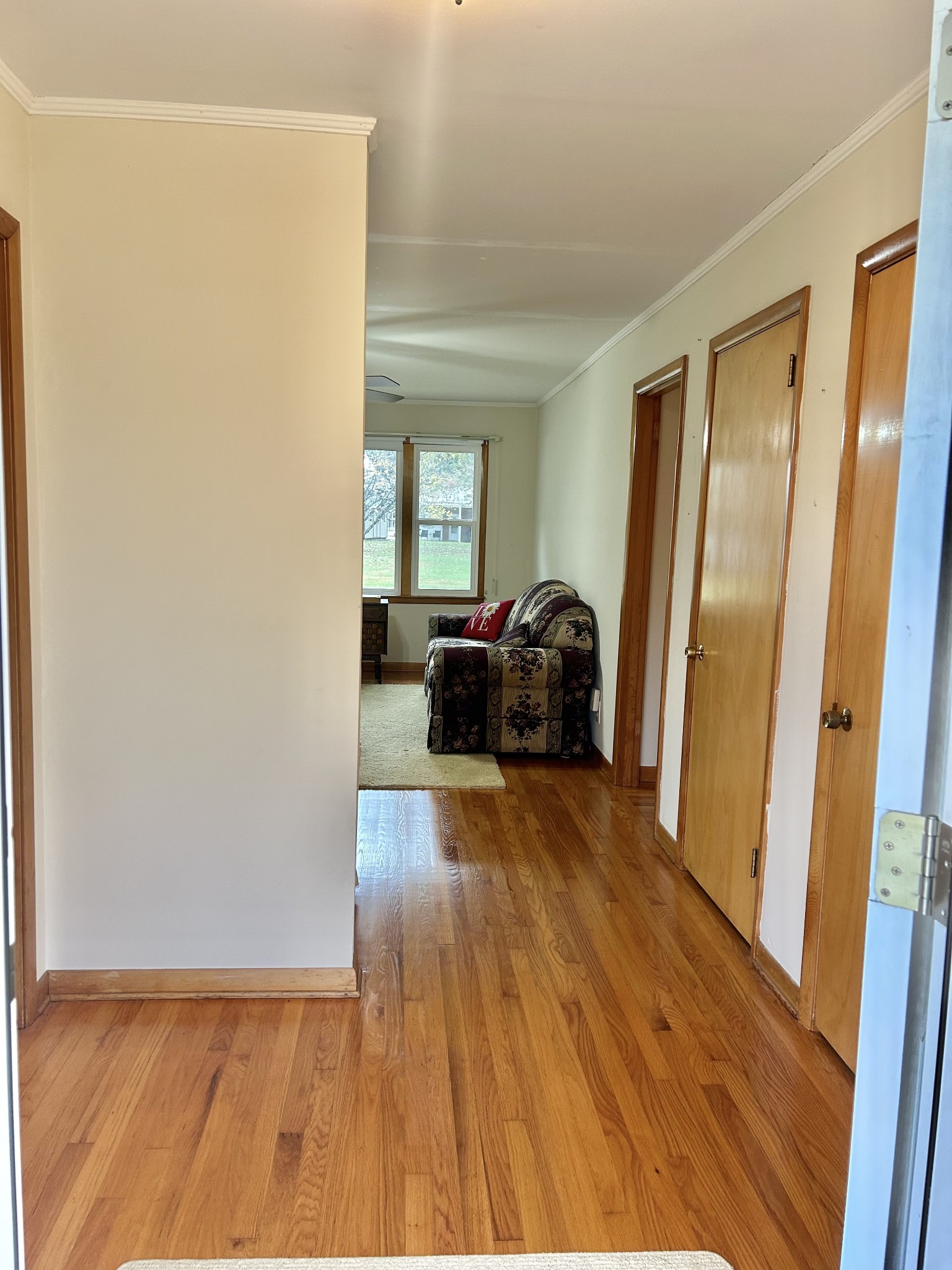 119 Elkins St