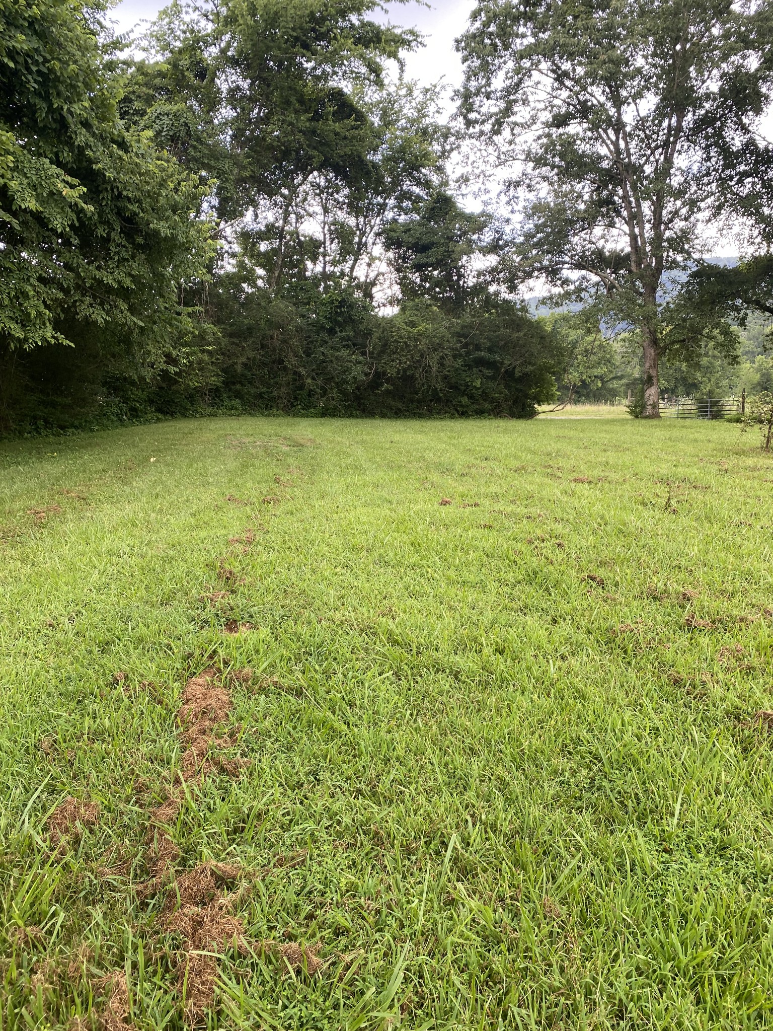410 Red Sartain Road