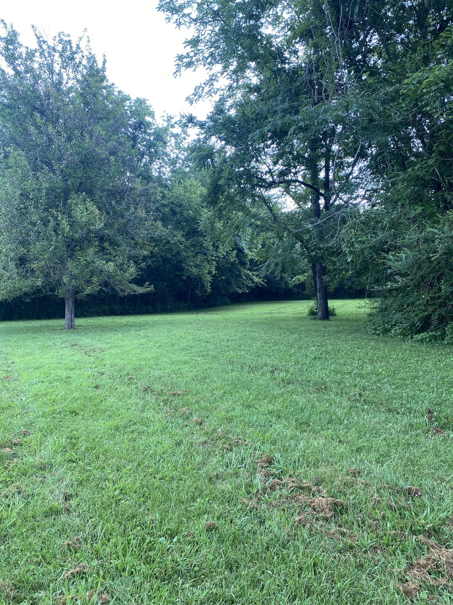 410 Red Sartain Road