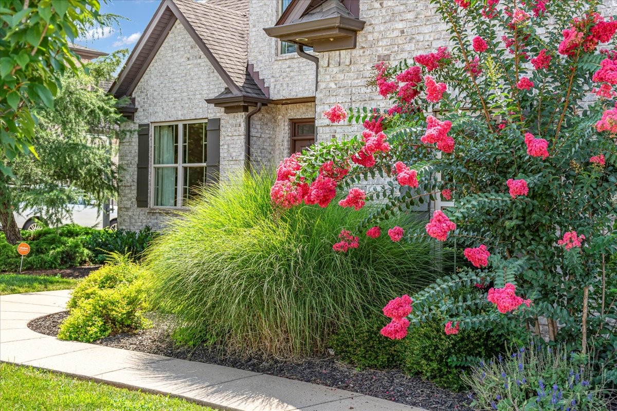 1125 Tiberius Way