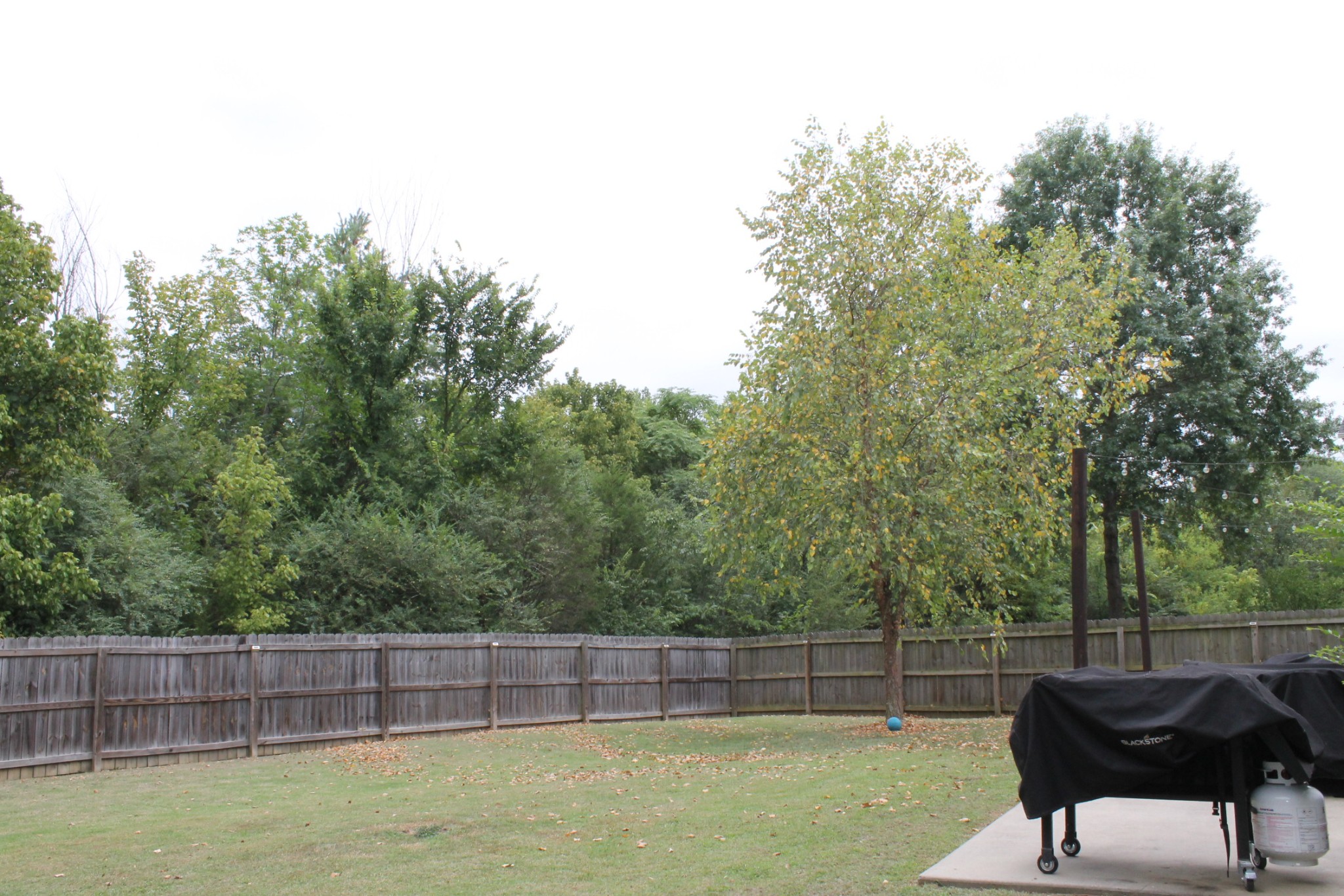 111 Ropers Ct