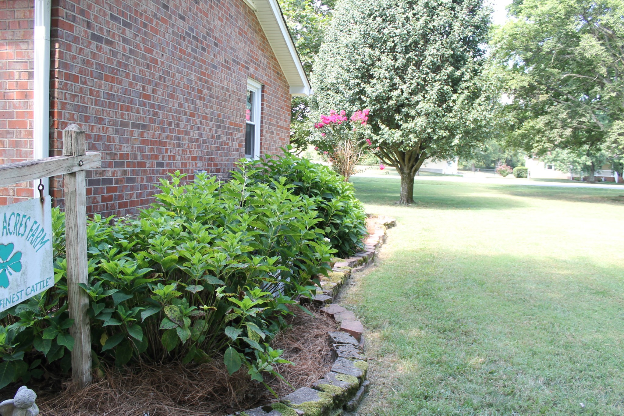 604 Shelley Dr