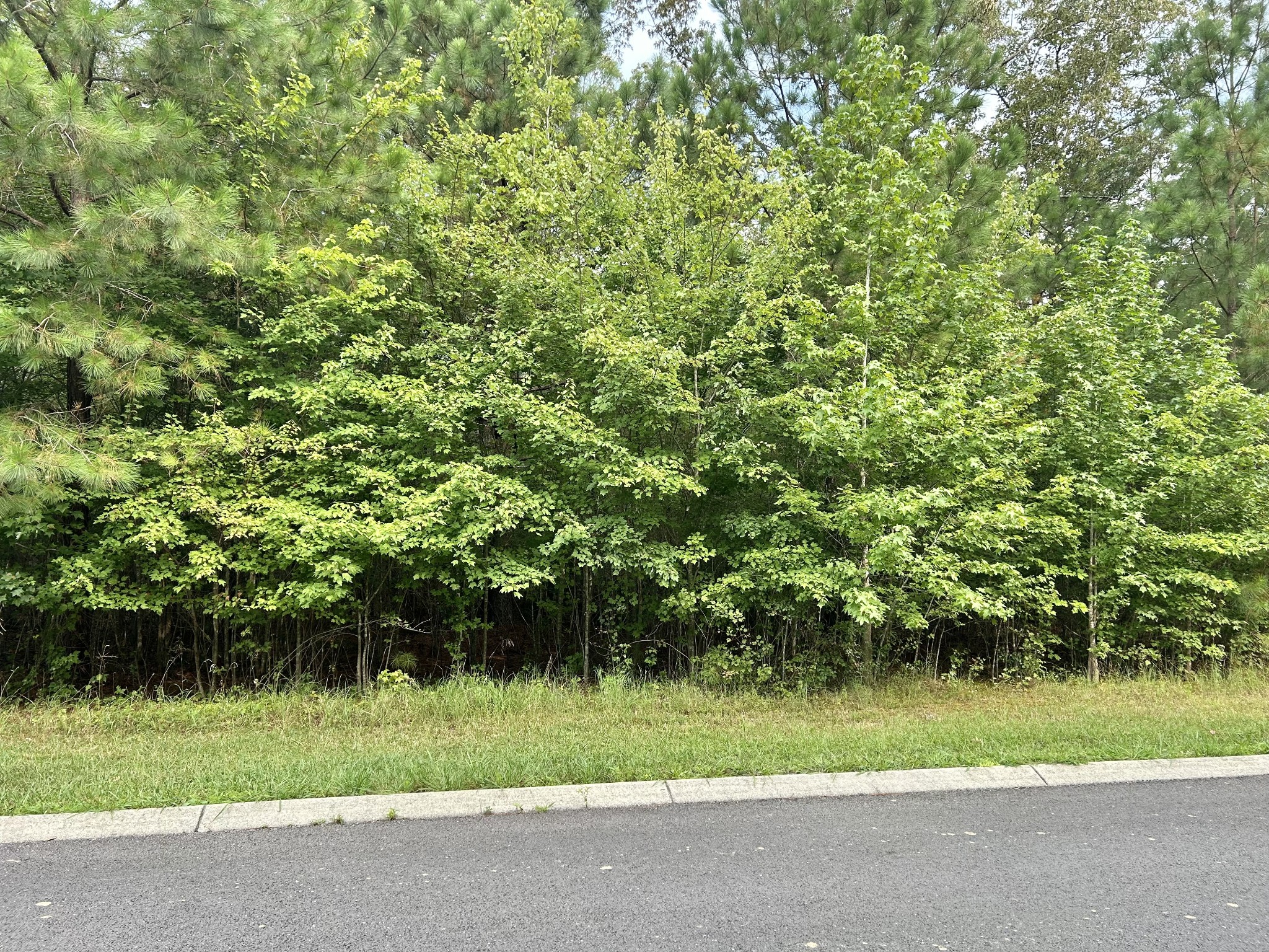 0 Seminole Ln