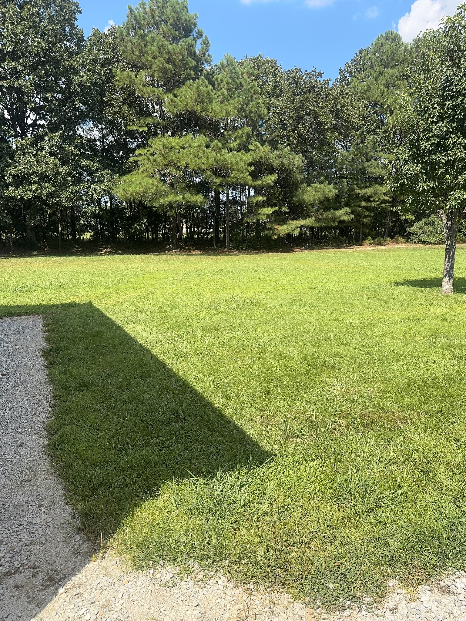 96 Rogers Dr