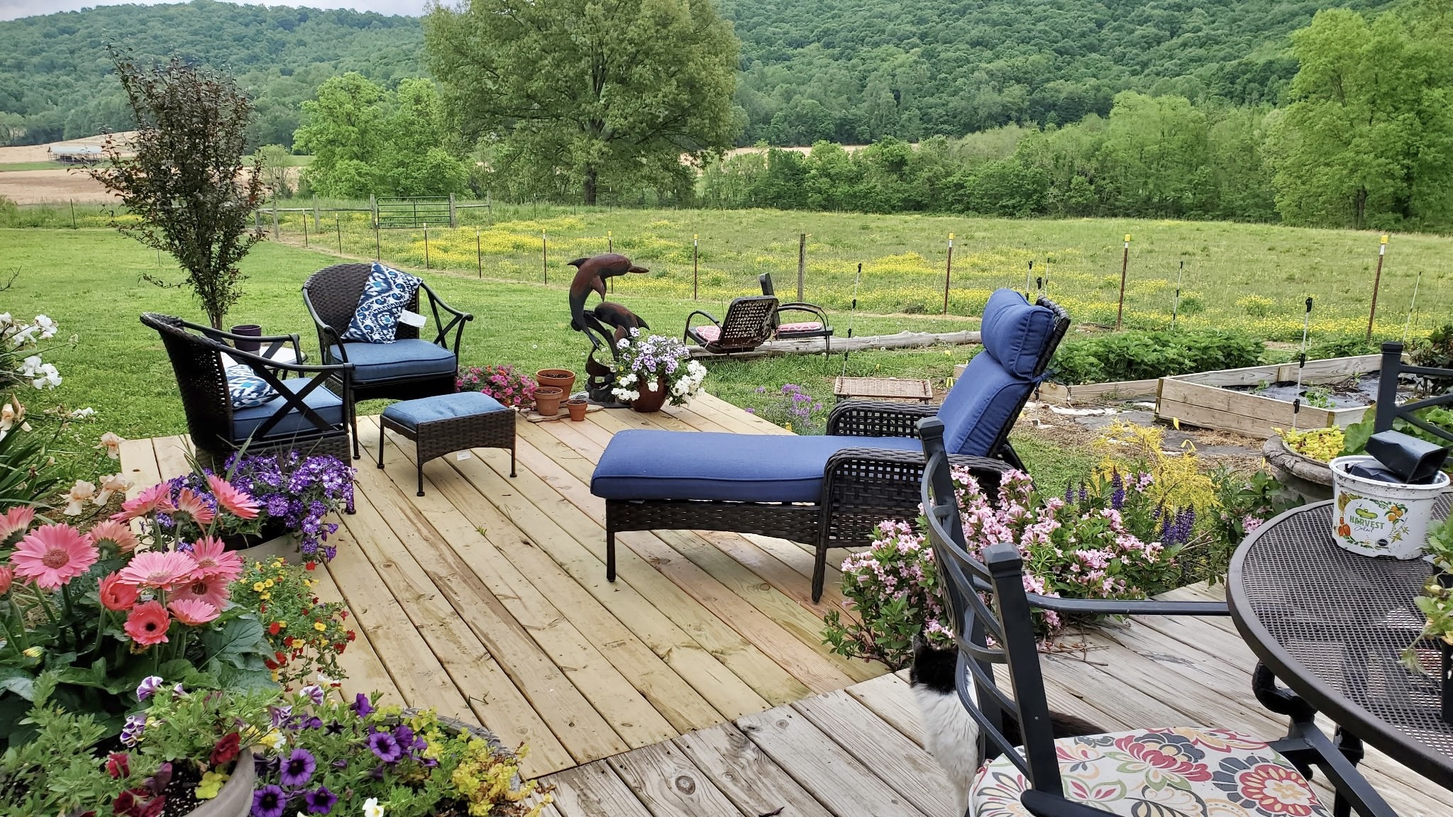 604 Oris Sain Rd