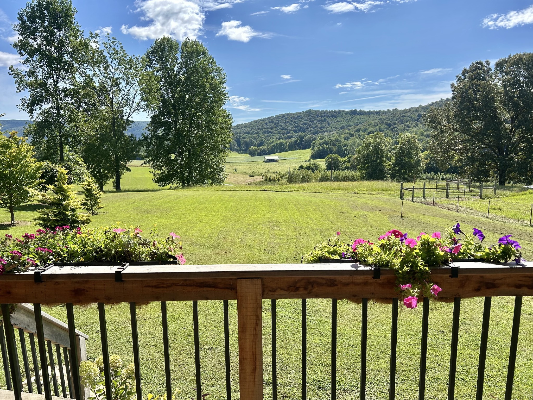 604 Oris Sain Rd