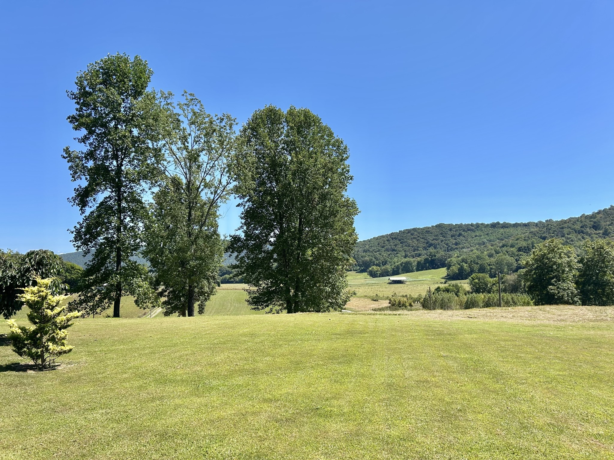 604 Oris Sain Rd