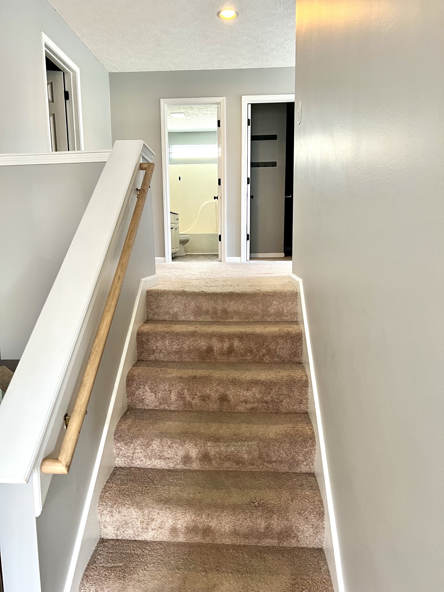 142 Braxton Park Ln