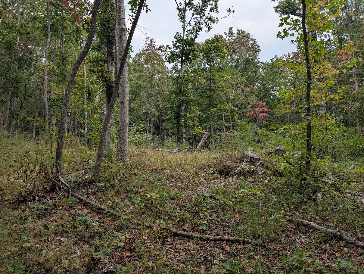 0 Deer Run Rd Lot 146