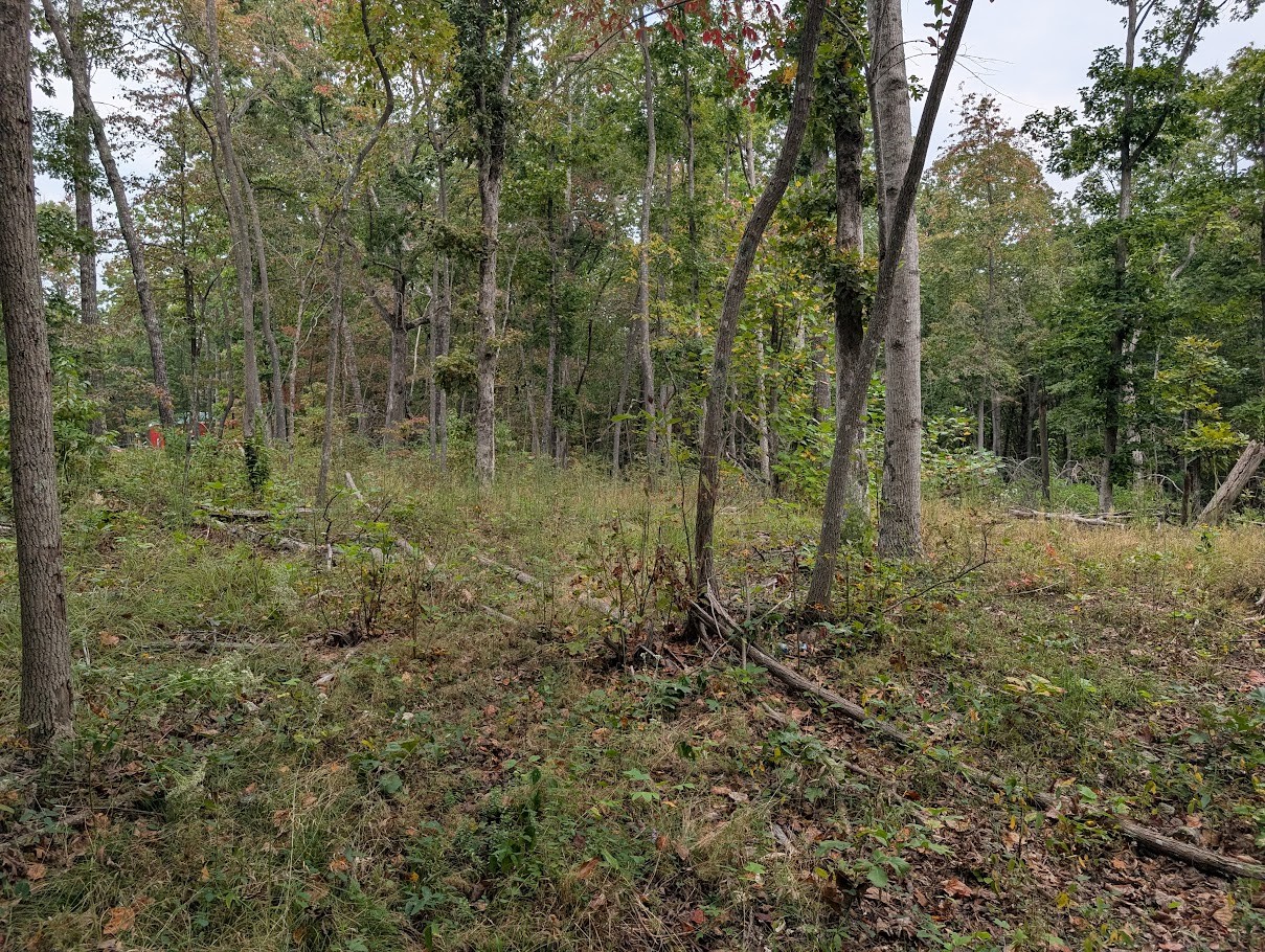 0 Deer Run Rd Lot 146