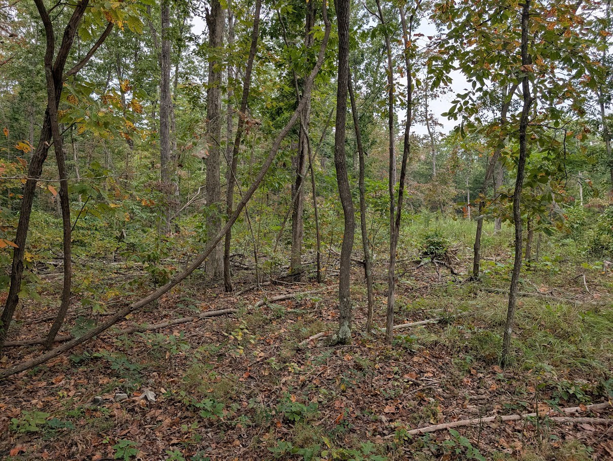 0 Deer Run Rd Lot 146