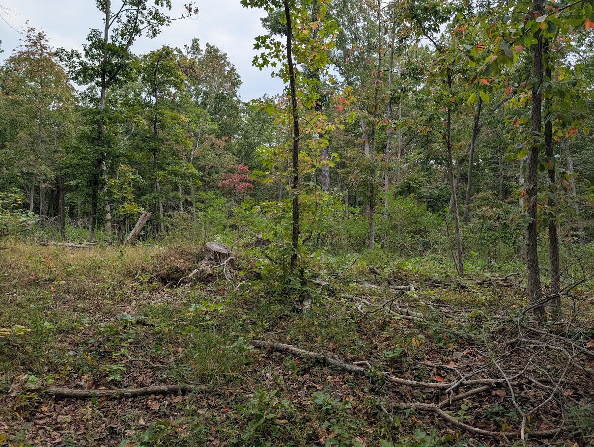 0 Deer Run Rd Lot 146