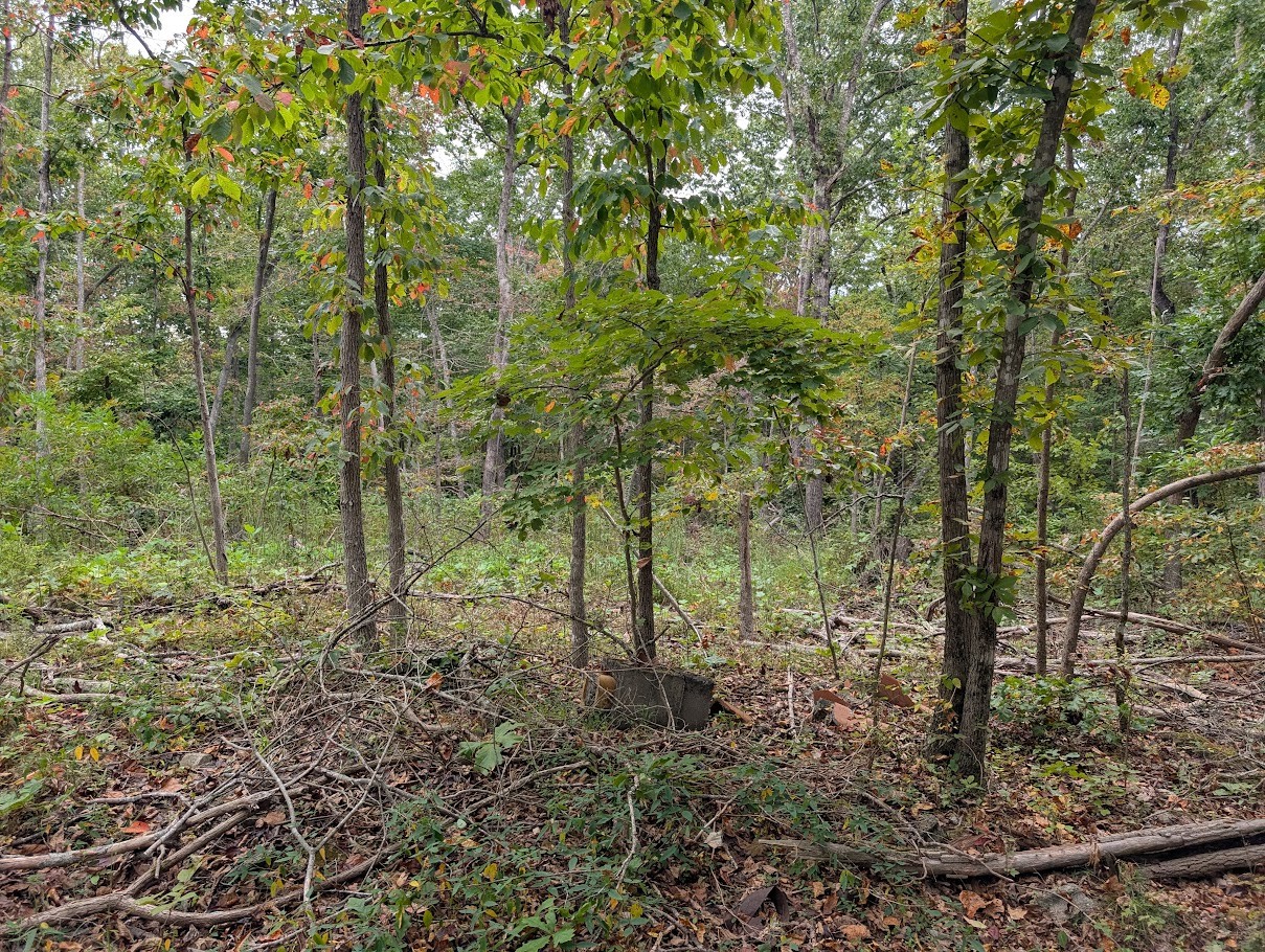 0 Deer Run Rd Lot 146