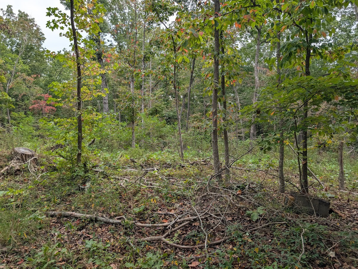 0 Deer Run Rd Lot 146