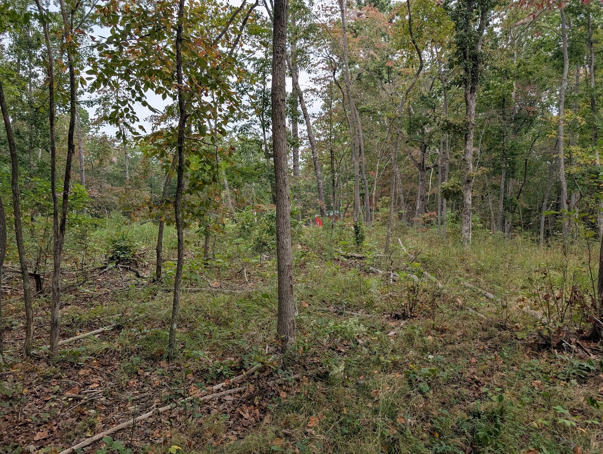 0 Deer Run Rd Lot 146