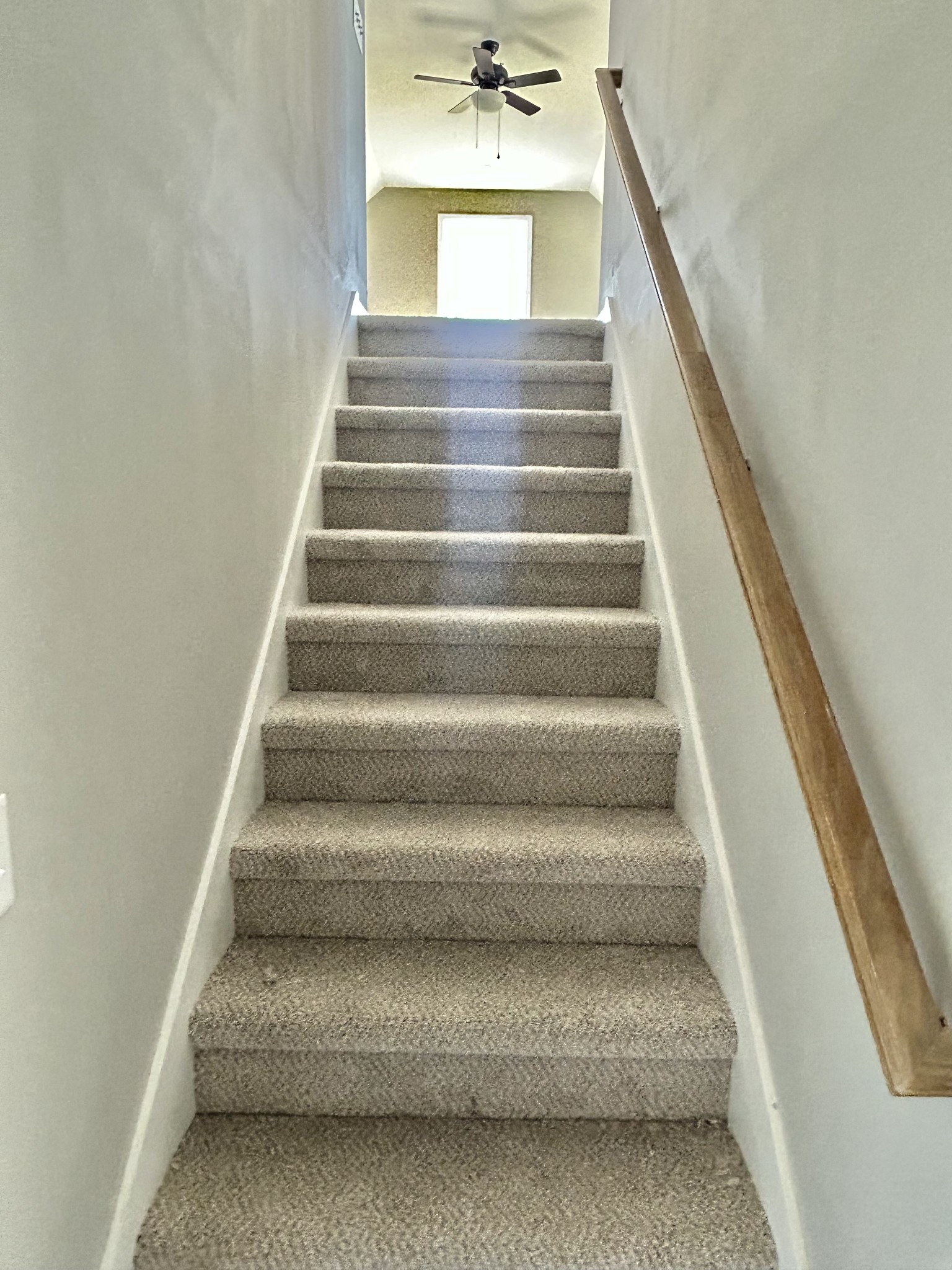 287 Randall Ln