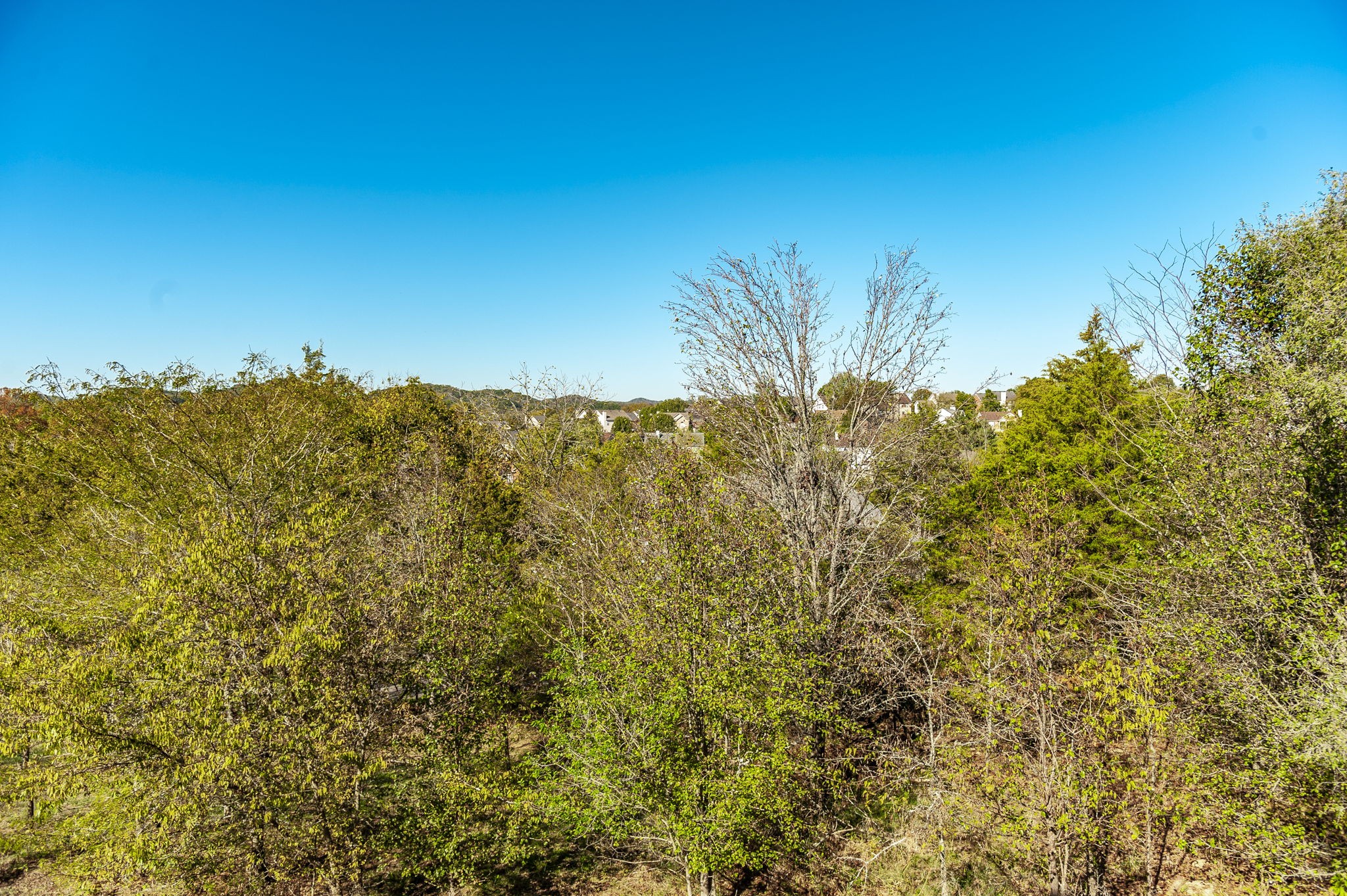 110 Yvonne Ct