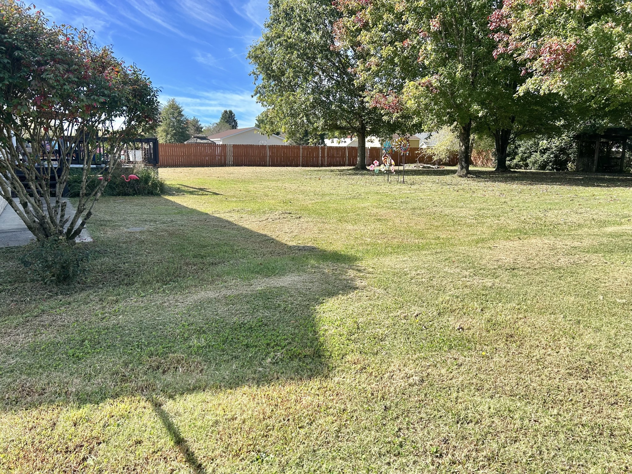 233 Jacoby Dr