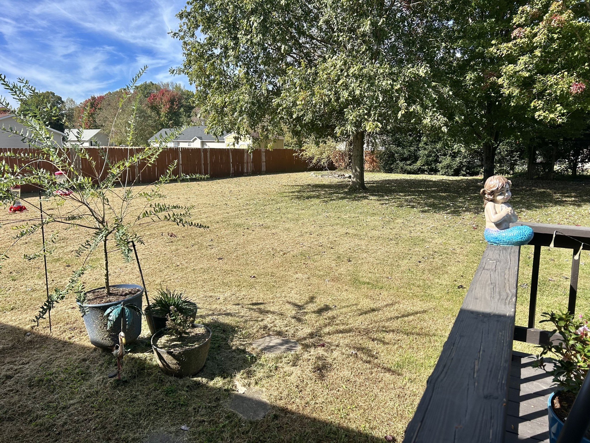 233 Jacoby Dr