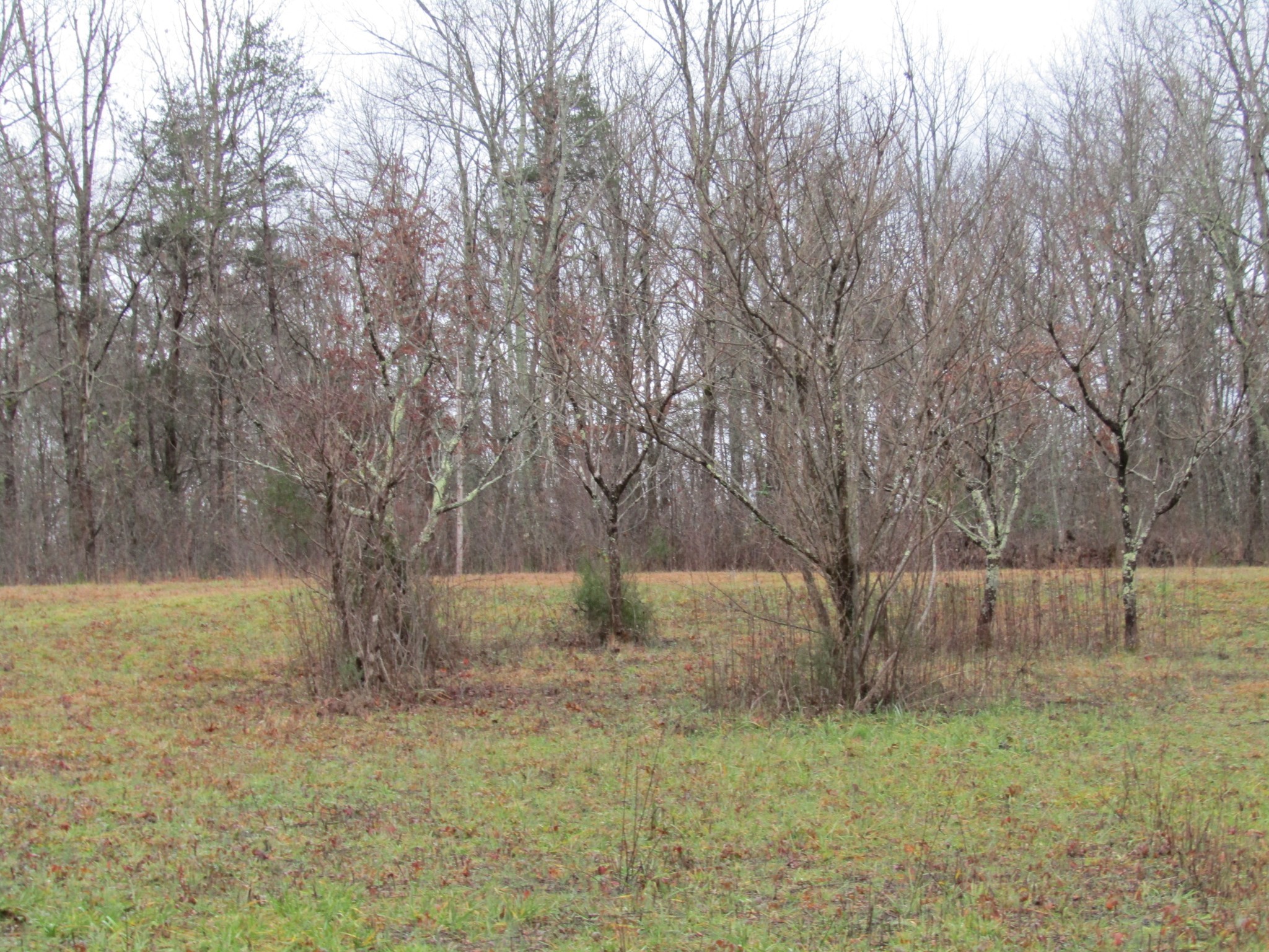 171 Sheep Ranch Rd