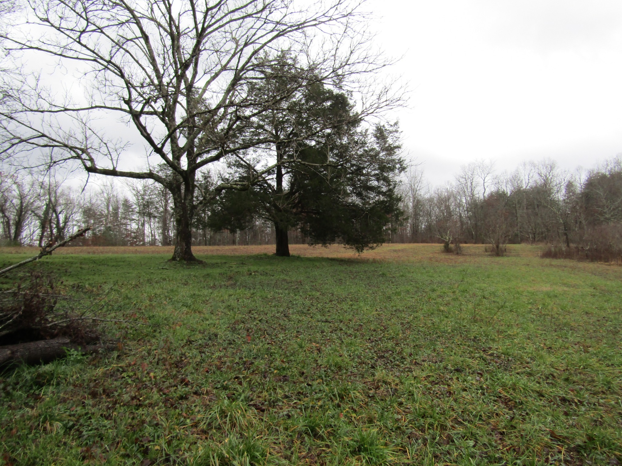171 Sheep Ranch Rd