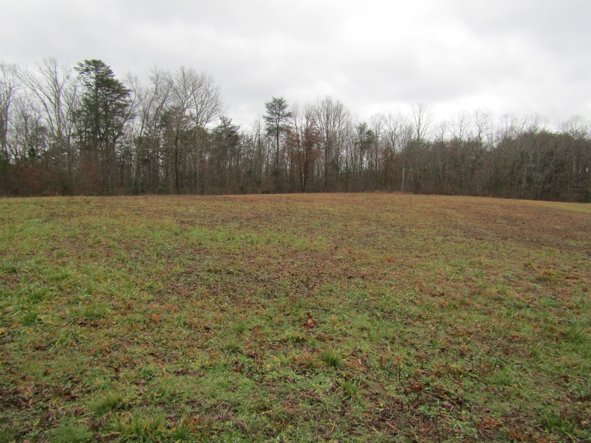 171 Sheep Ranch Rd