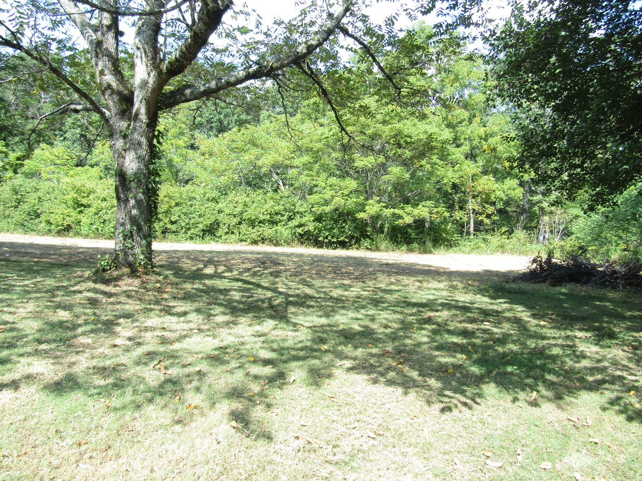 171 Sheep Ranch Rd