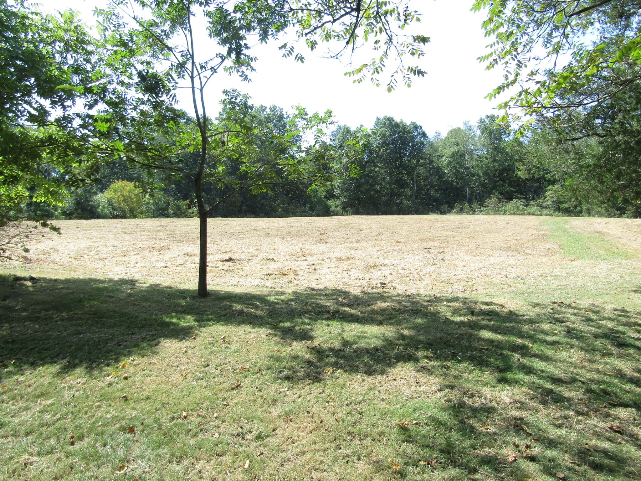 171 Sheep Ranch Rd