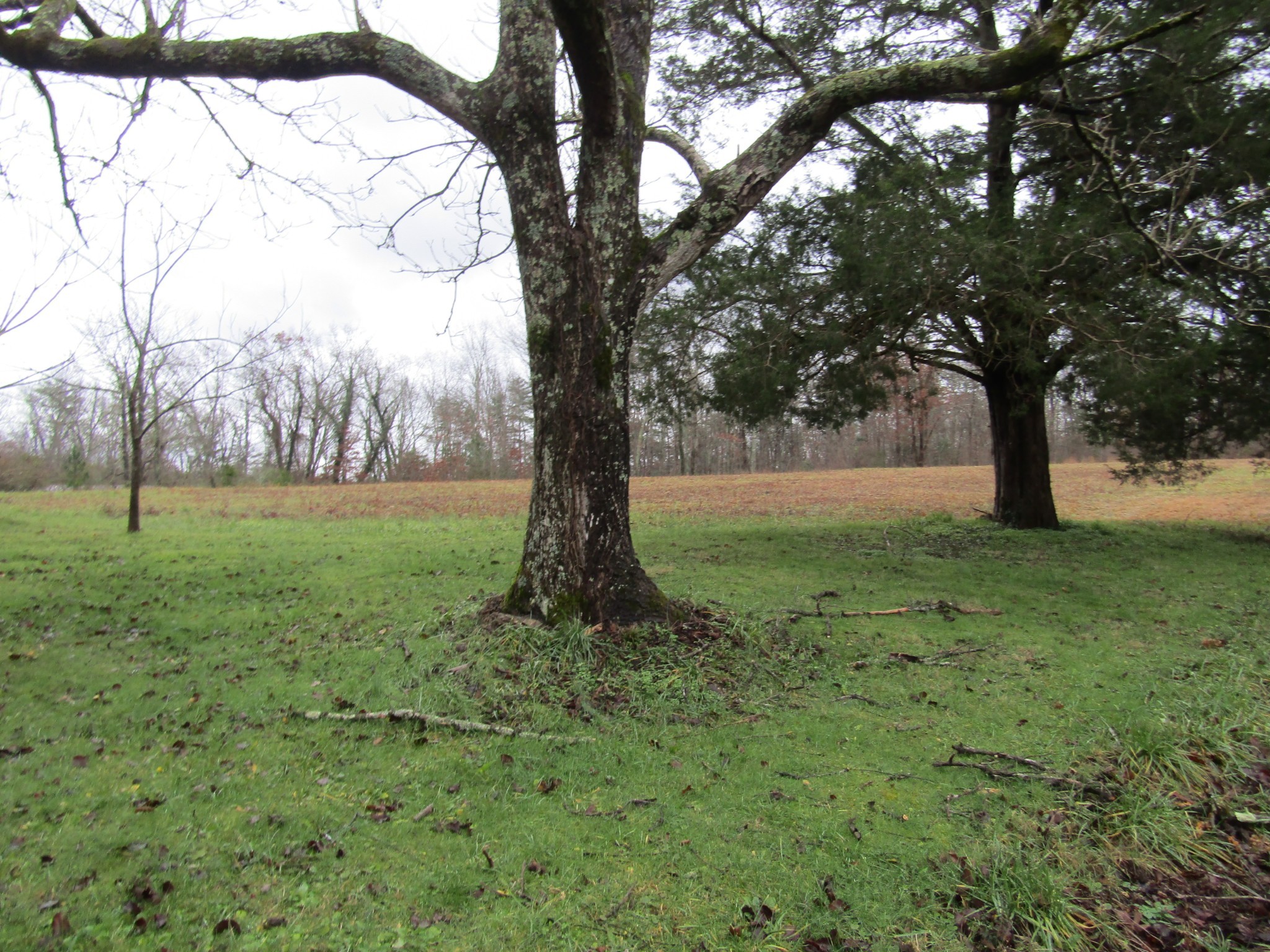 171 Sheep Ranch Rd