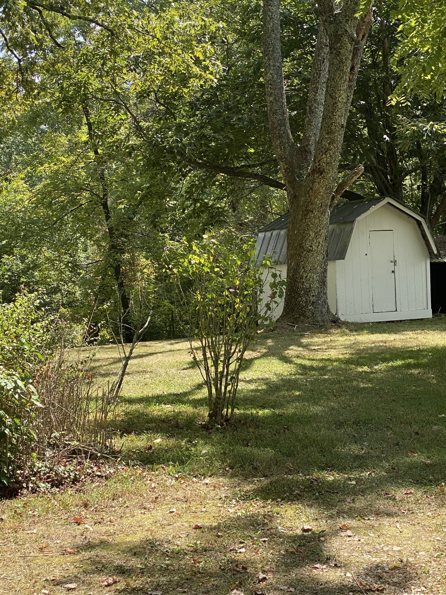 171 Sheep Ranch Rd
