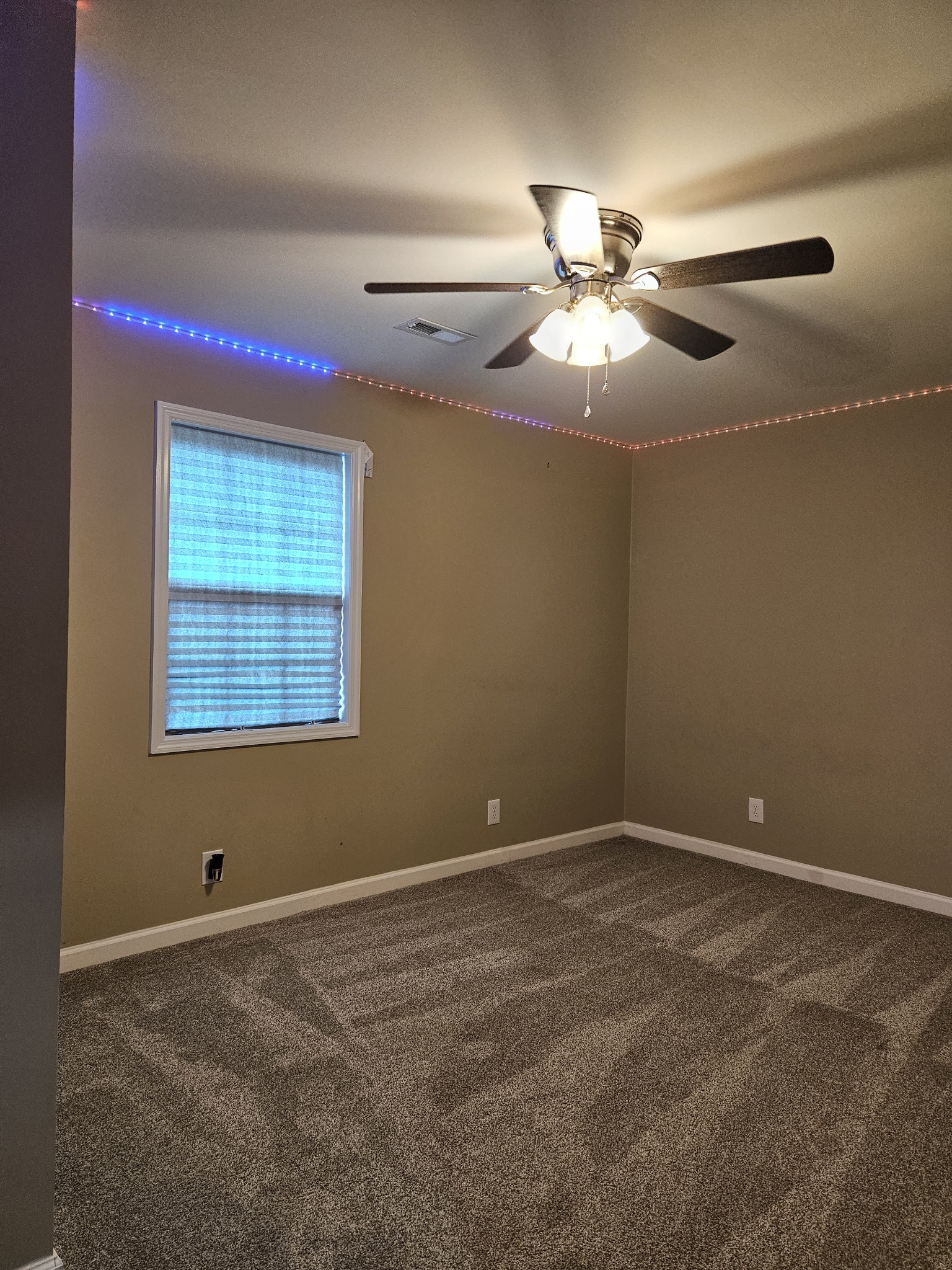 107 Gentry St