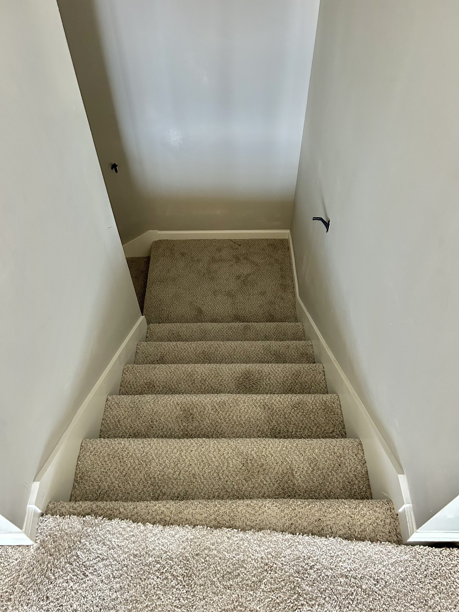 459 Randall Ln