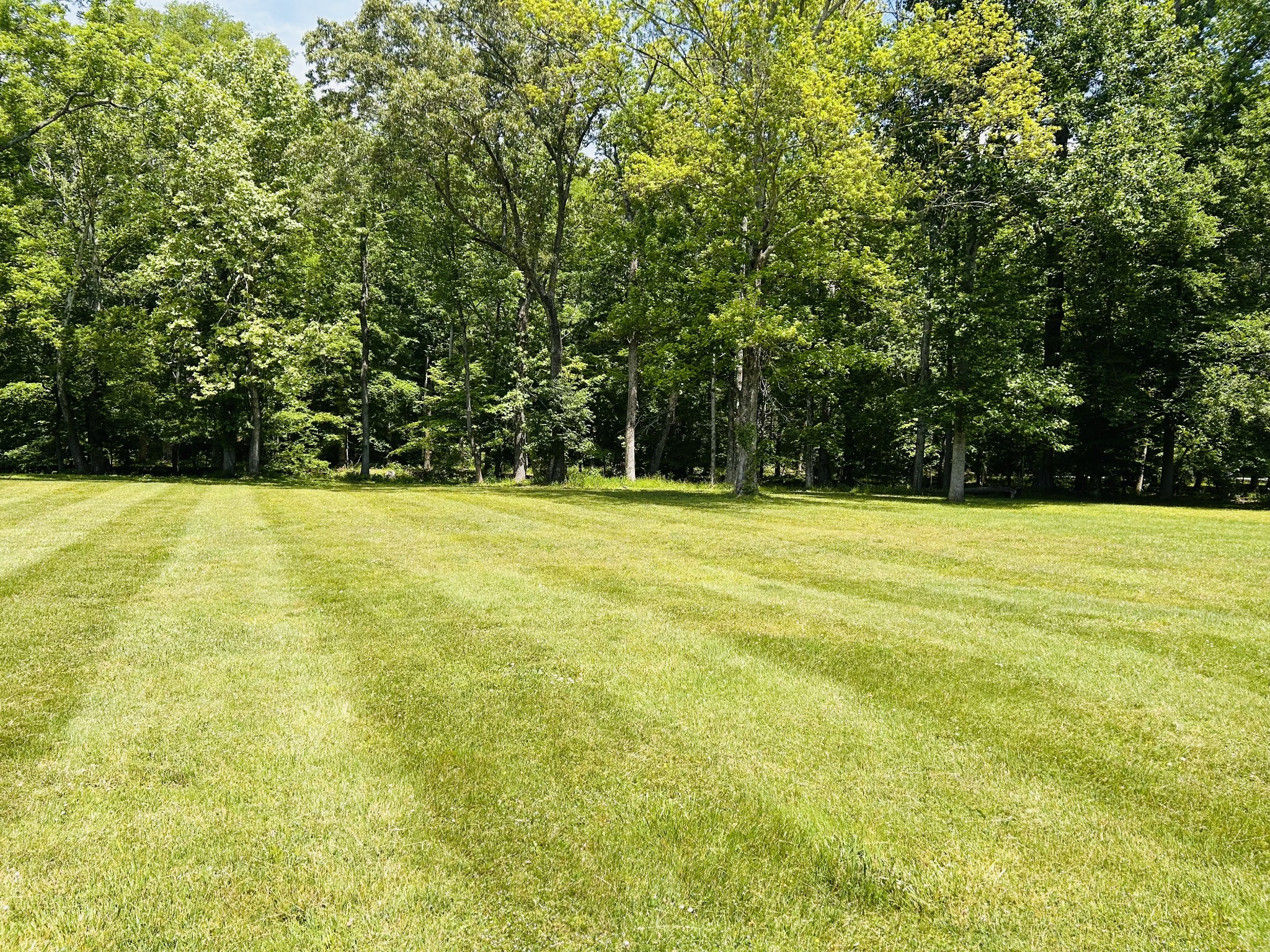 1301 Sycamore Dr