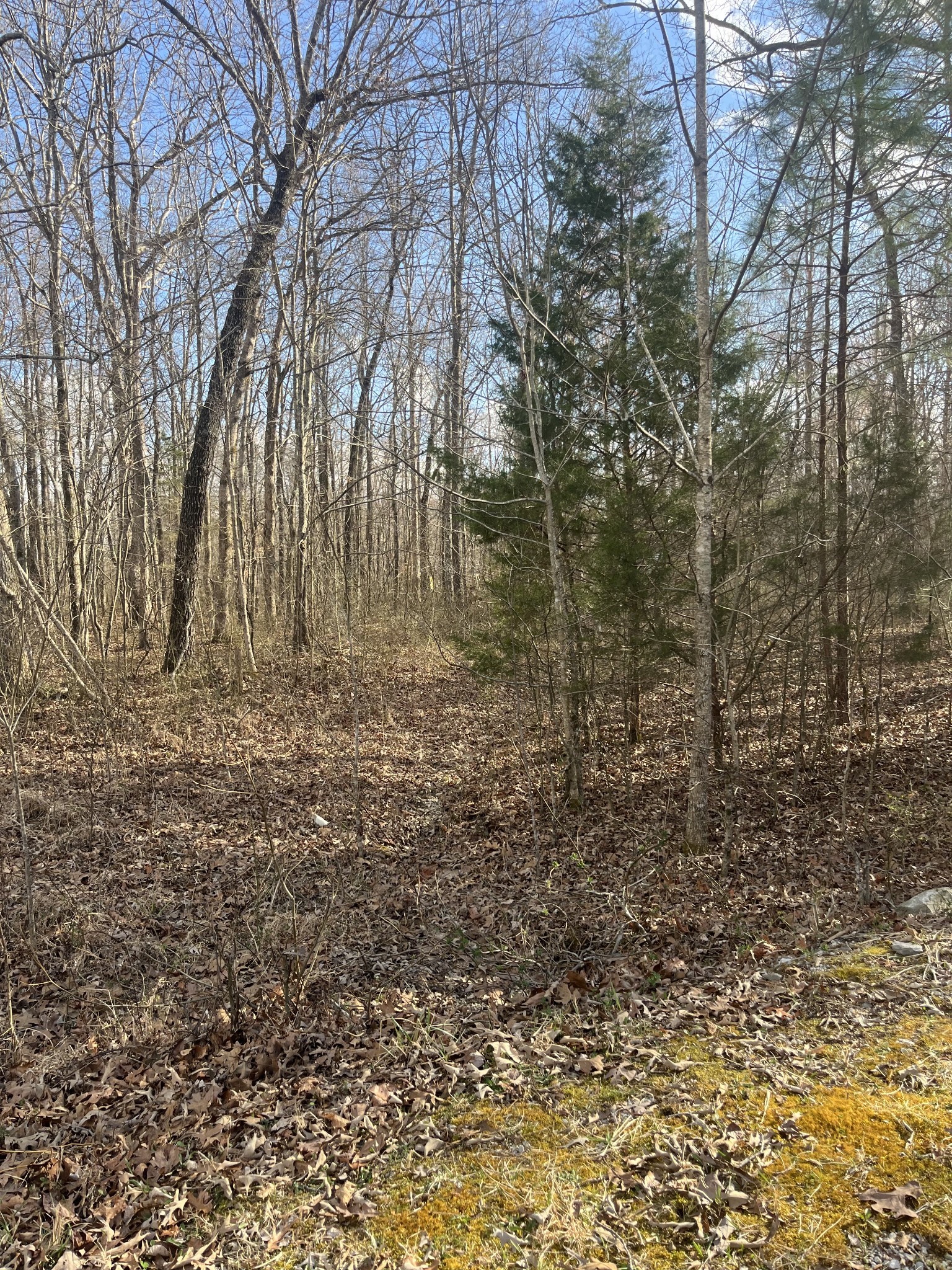 0 Boyton Valley Rd