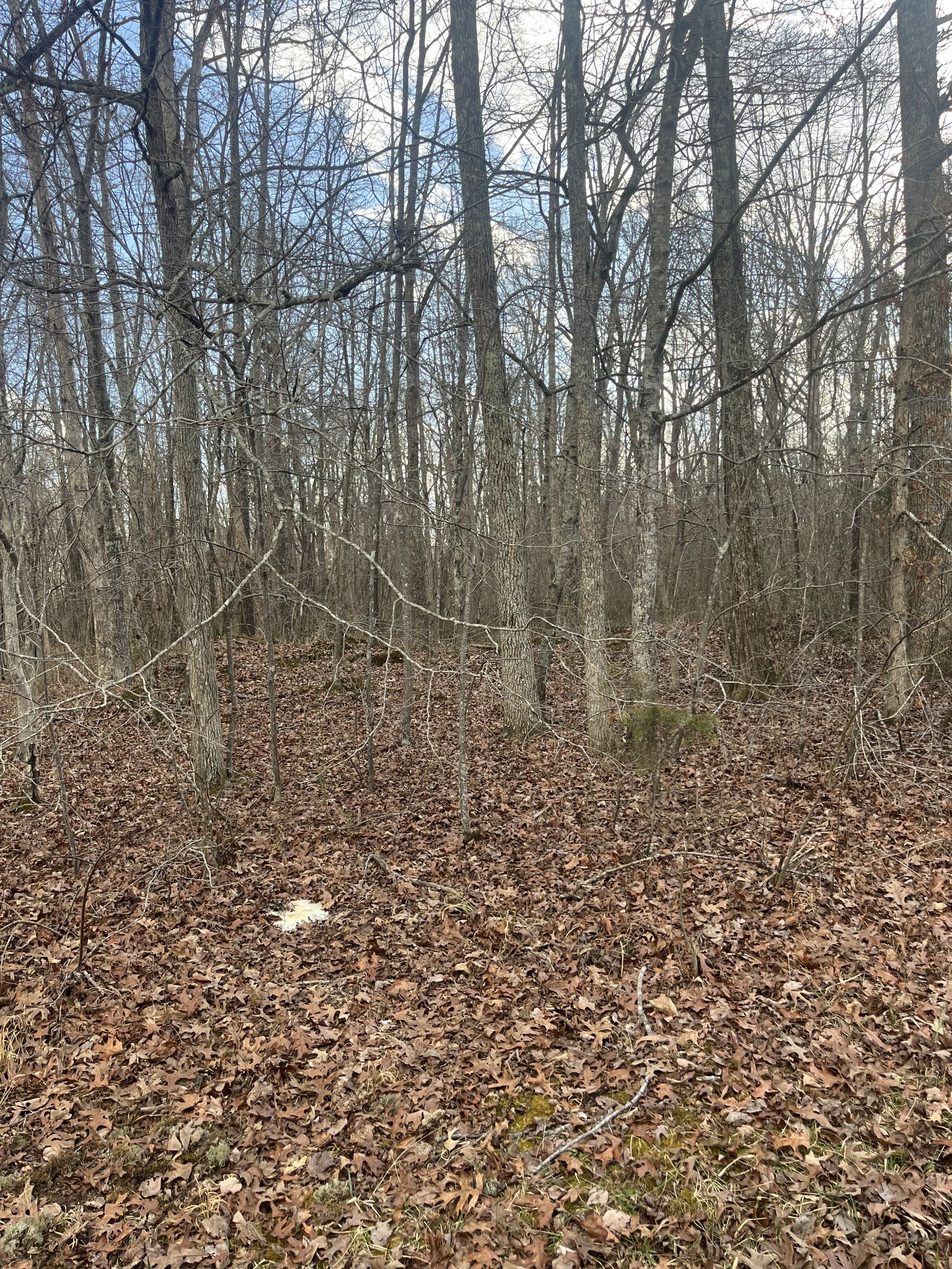 0 Boynton Valley Rd