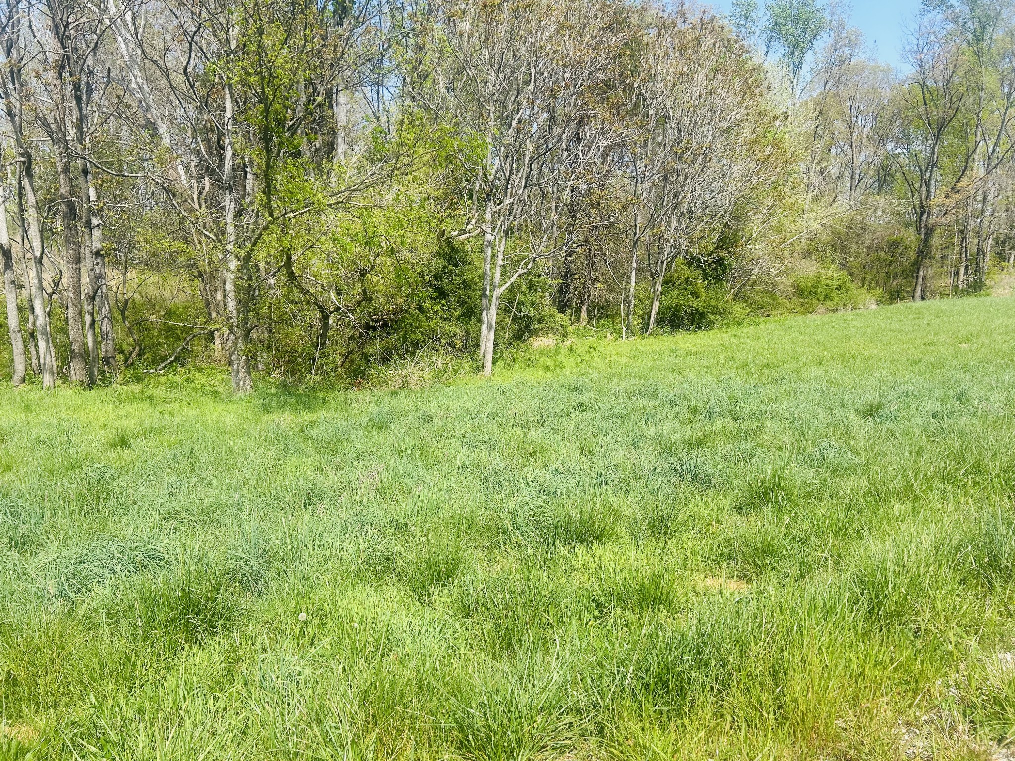 0 Hidden River Rd