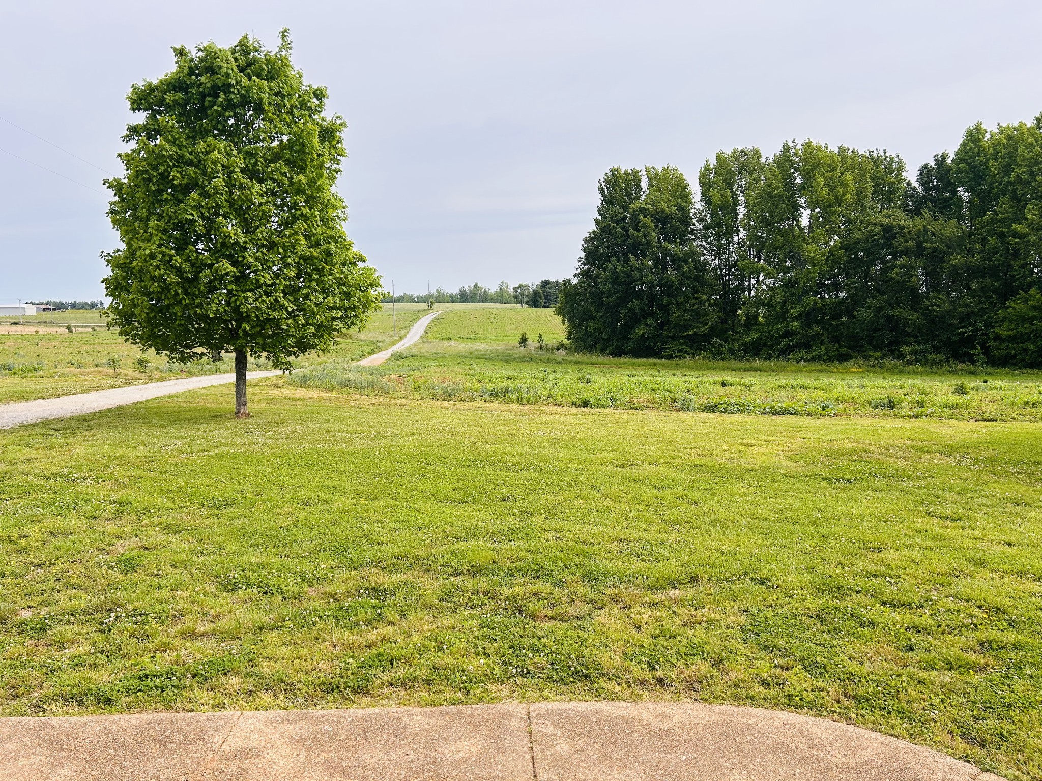 235 Breezy Knoll Ln