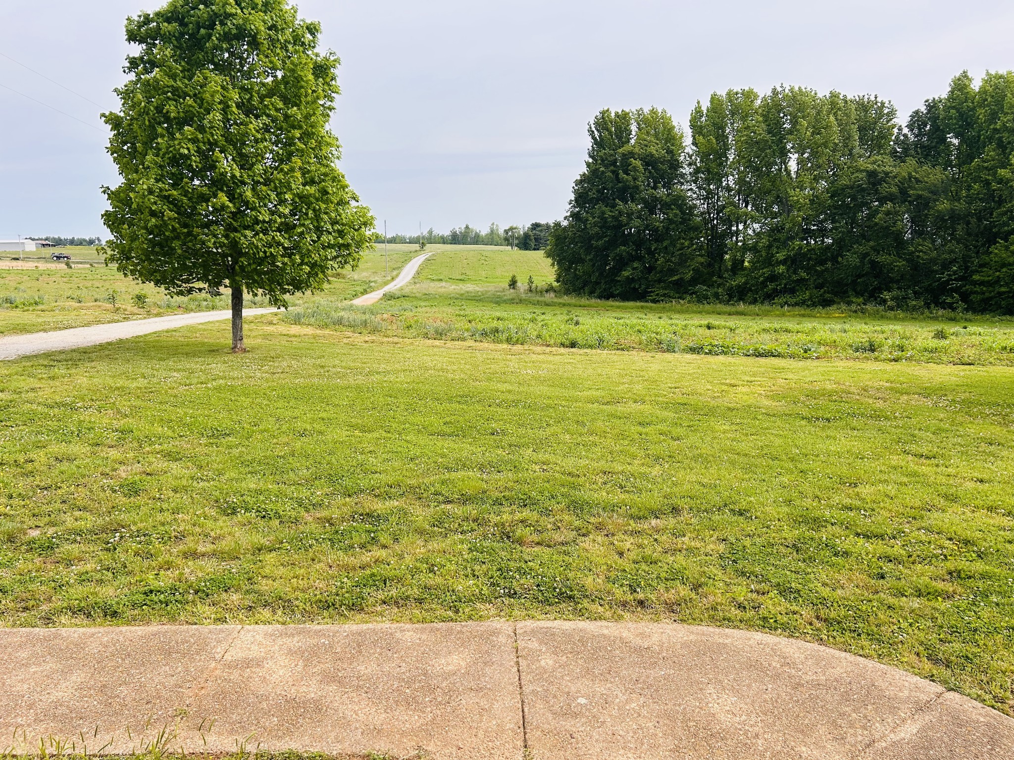 235 Breezy Knoll Ln