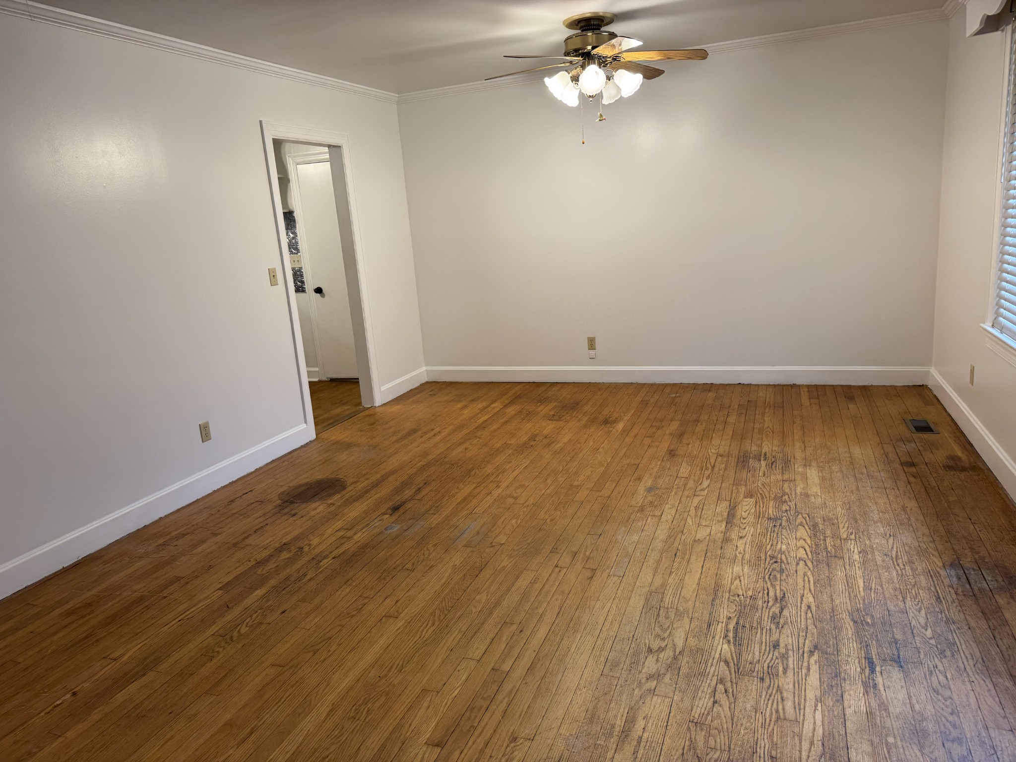 207 Elmwood Dr