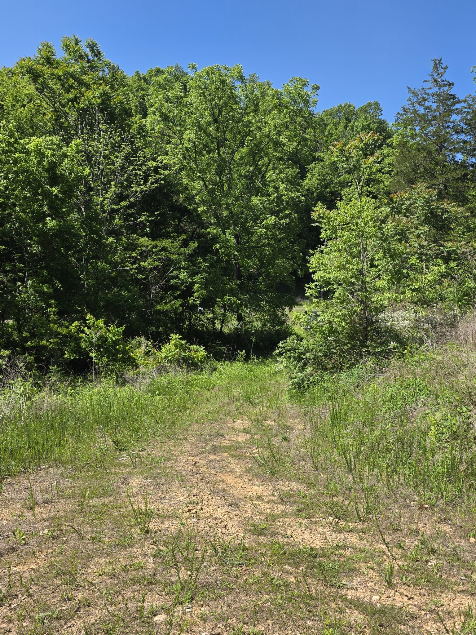 806 Brandon Hollow