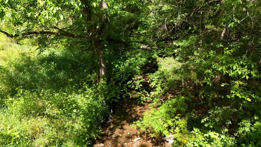 806 Brandon Hollow